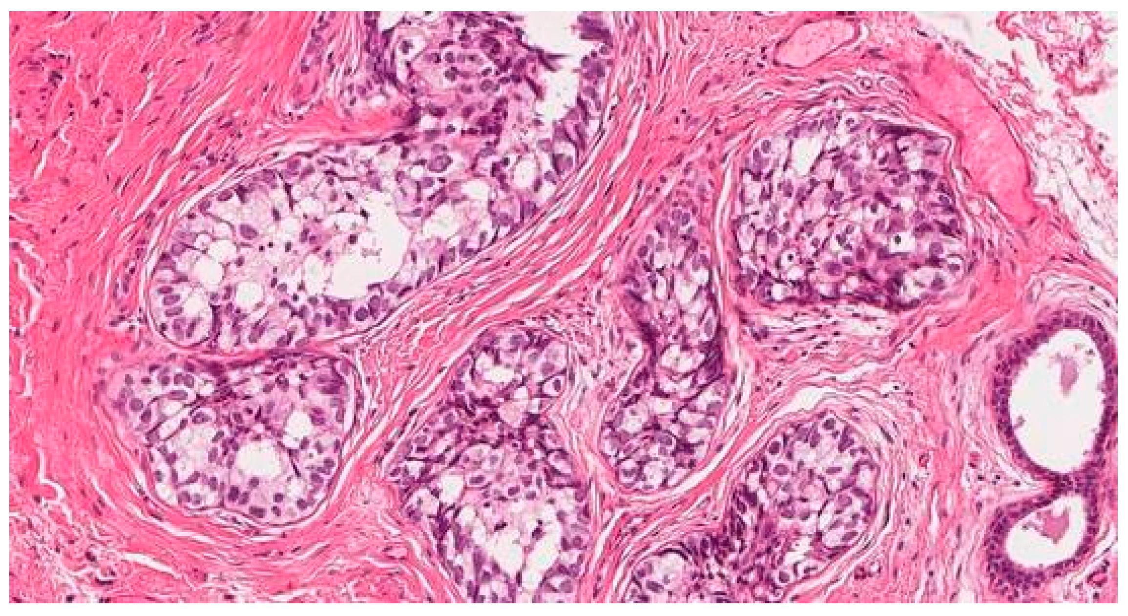 Medicina 59 00995 g003