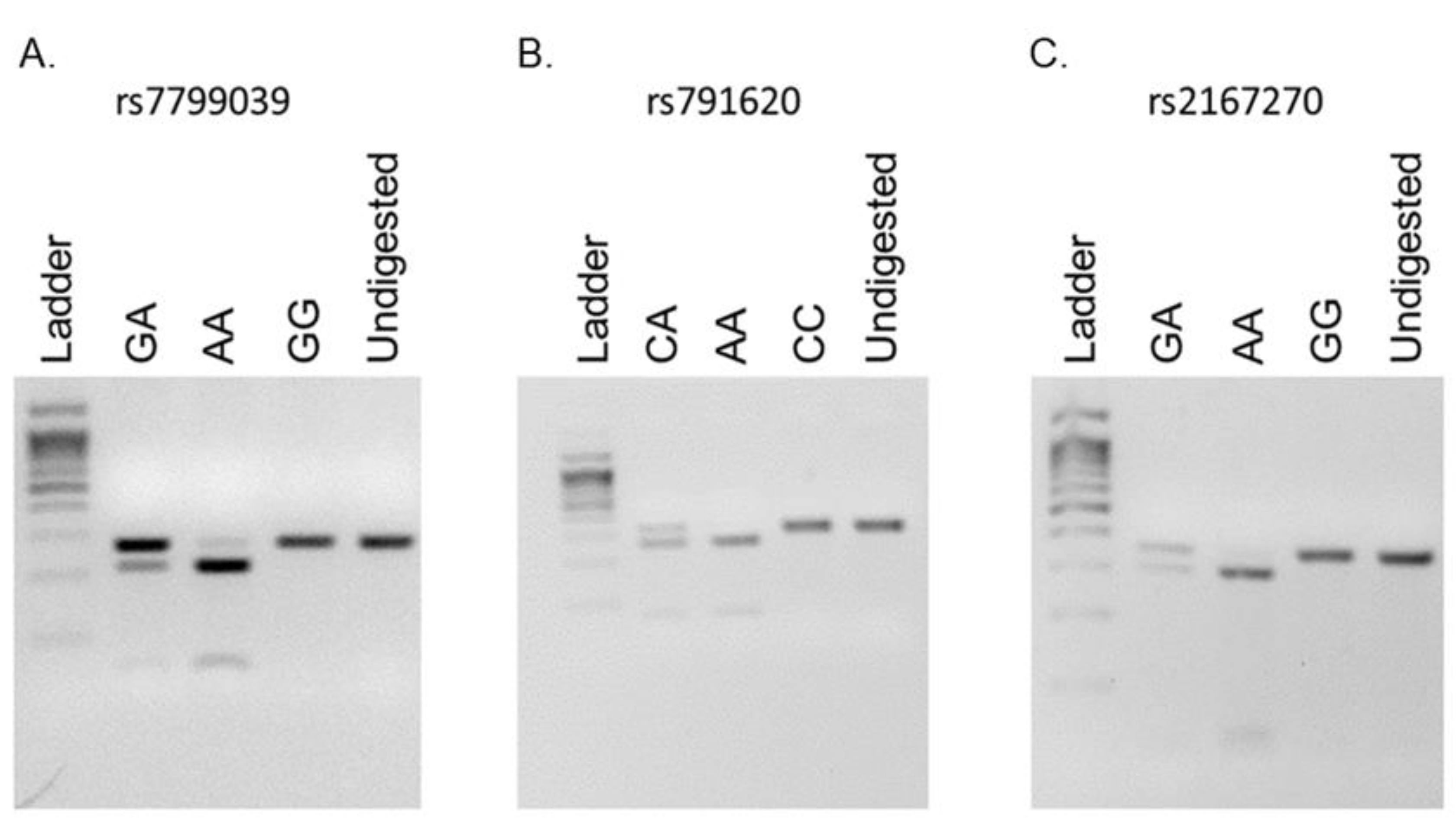 Medicina 59 00997 g001
