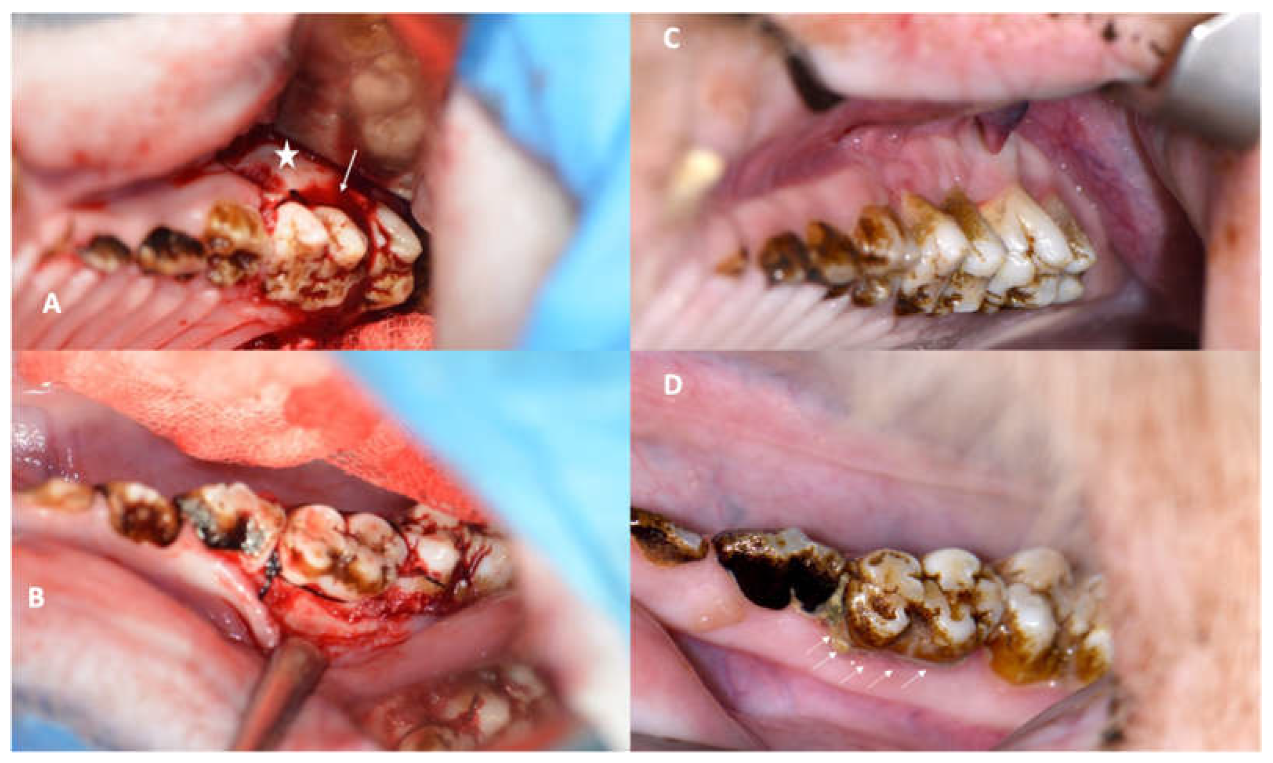 Medicina 59 01000 g001