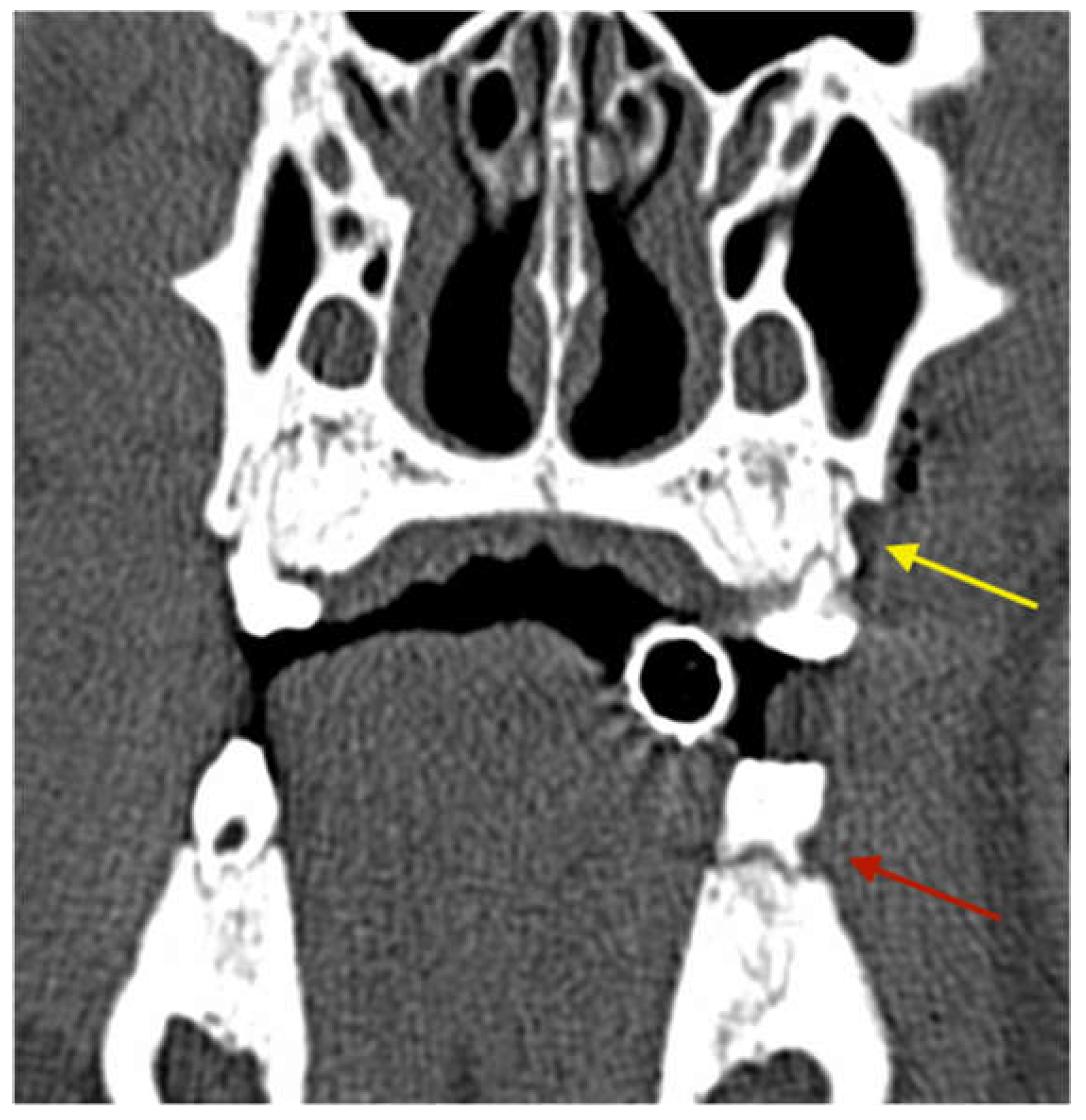 Medicina 59 01000 g002