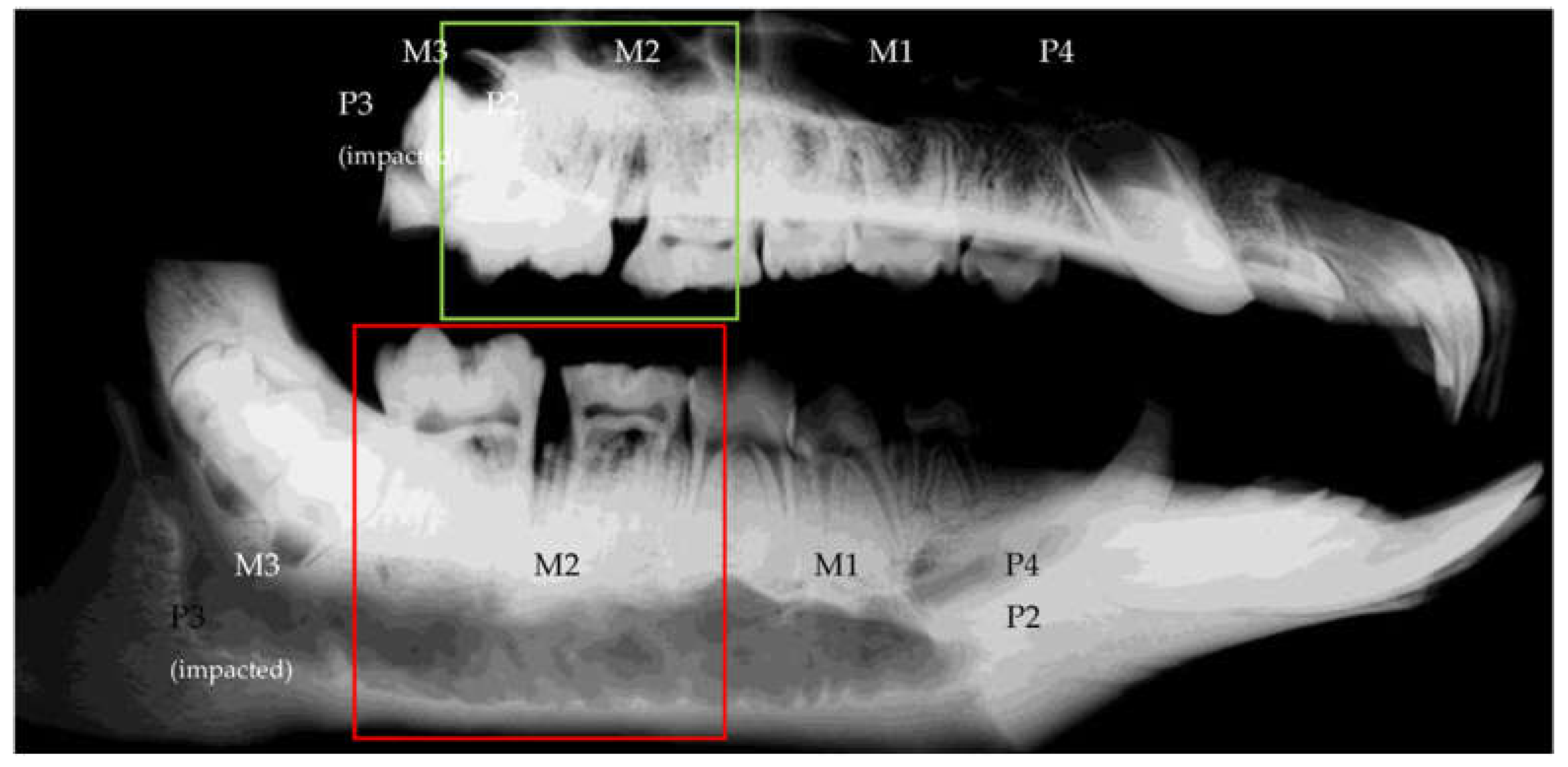 Medicina 59 01000 g003