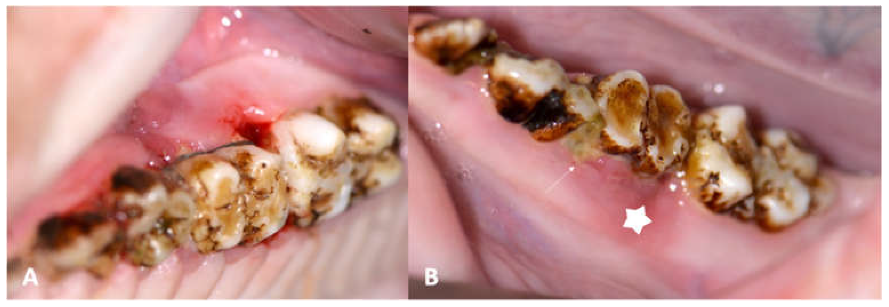 Medicina 59 01000 g008