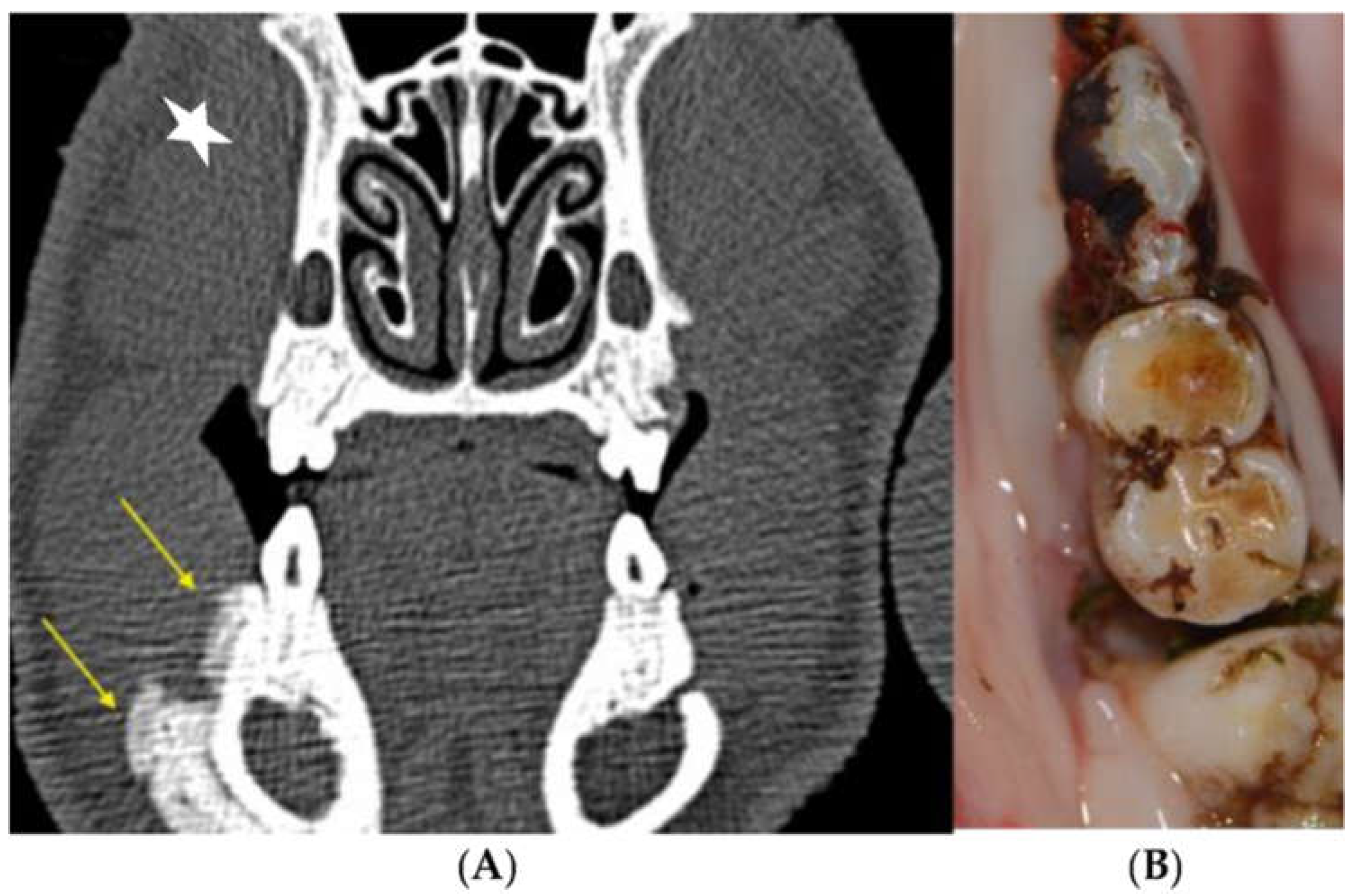 Medicina 59 01000 g009