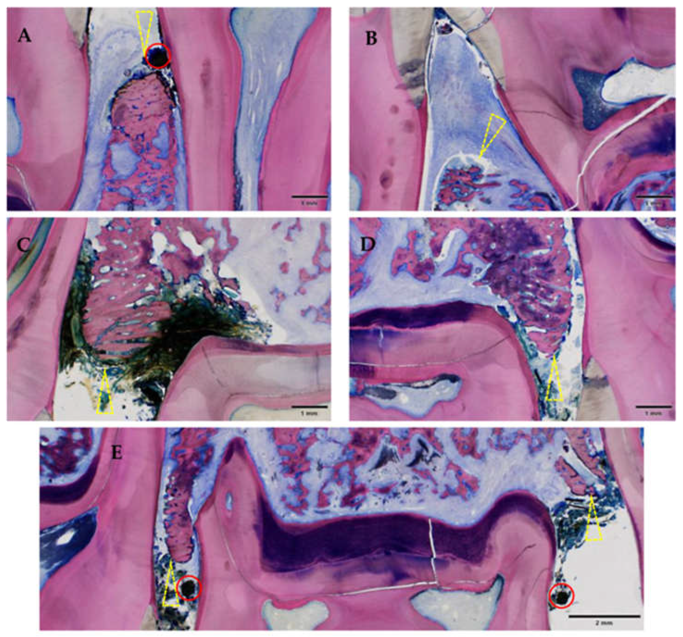 Medicina 59 01000 g011