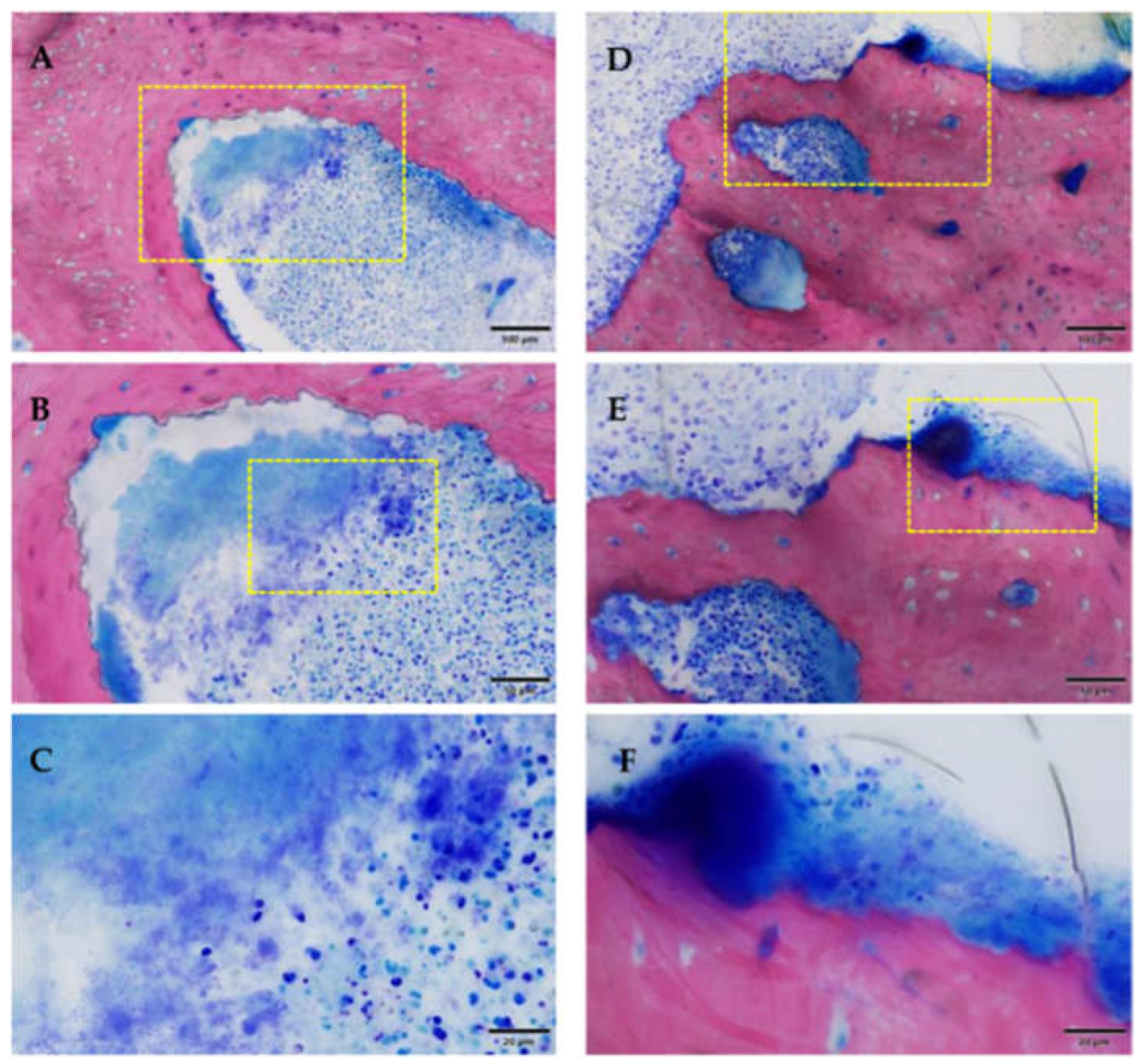 Medicina 59 01000 g012