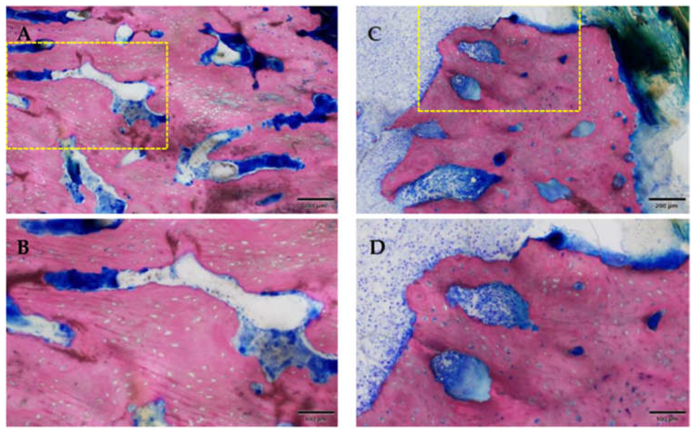 Medicina 59 01000 g013