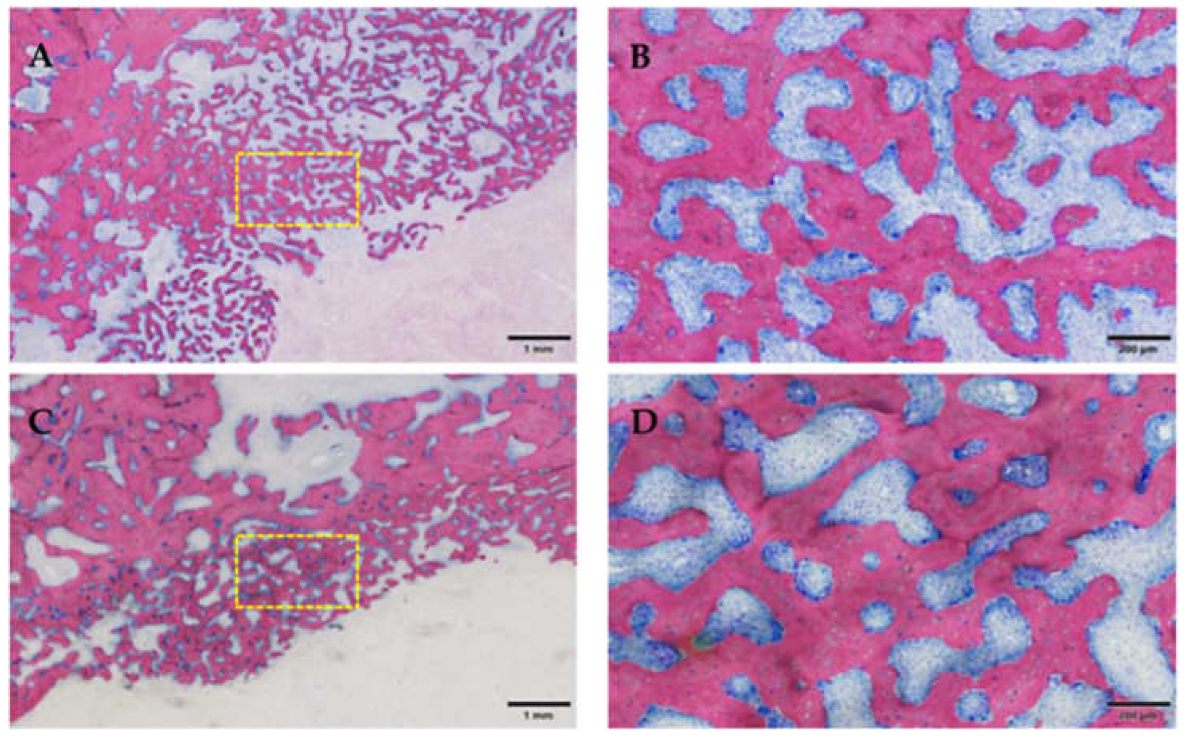 Medicina 59 01000 g014