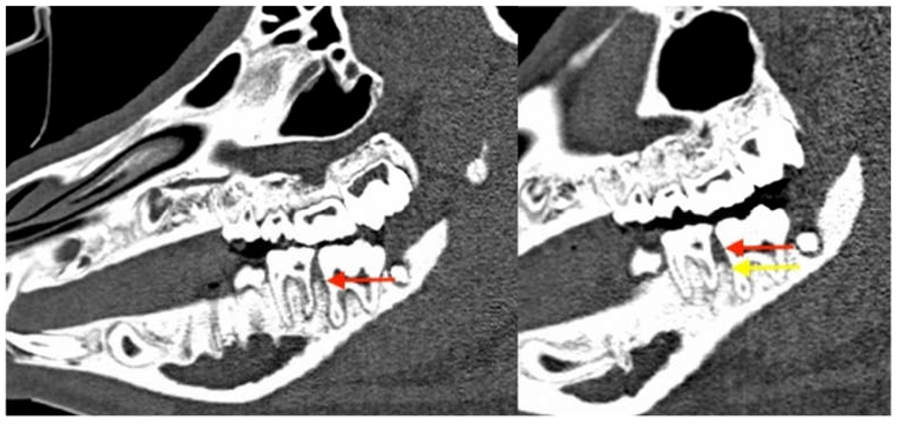 Medicina 59 01000 g016