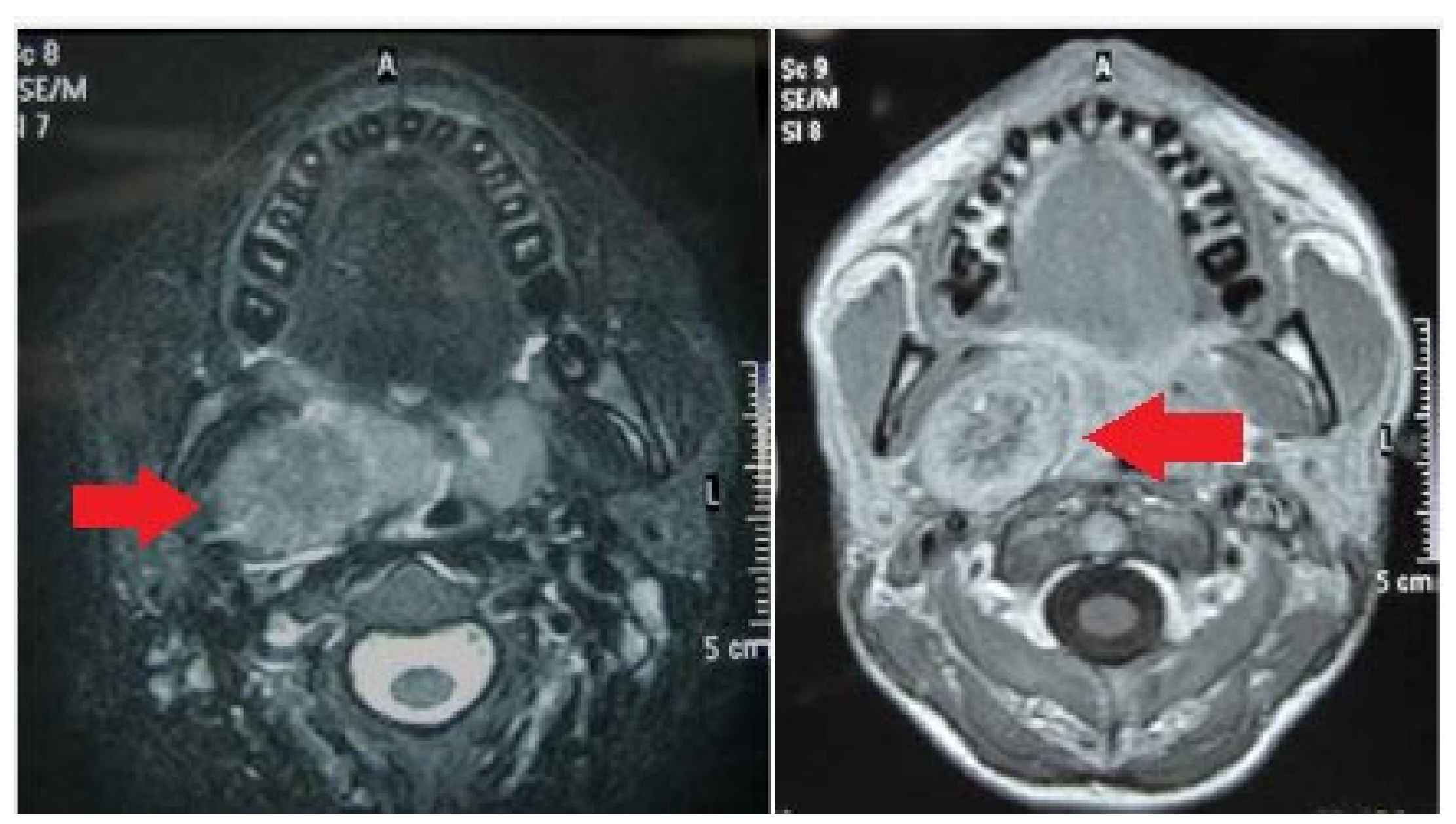 Medicina 59 01013 g003