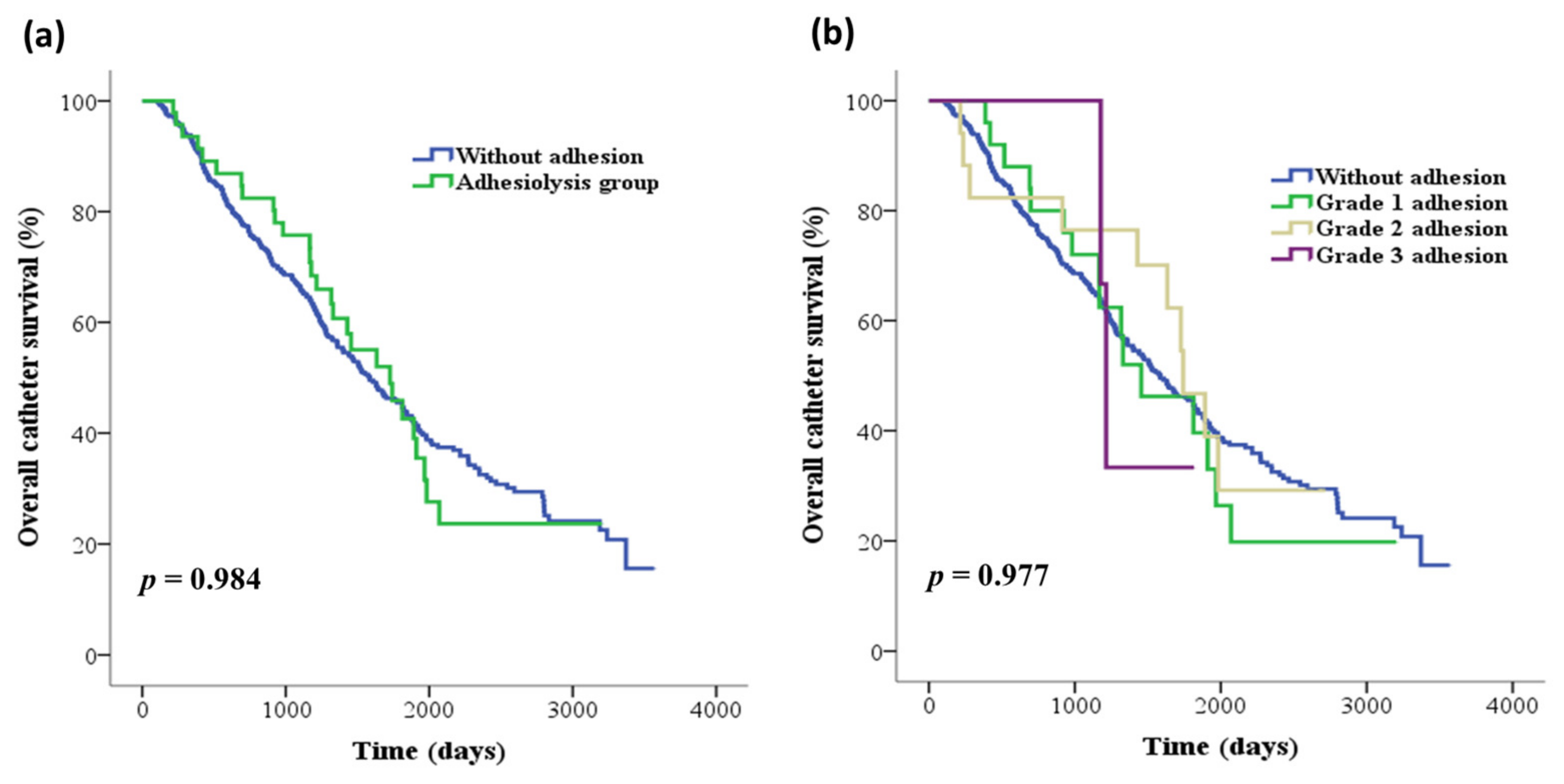 Medicina 59 01014 g001