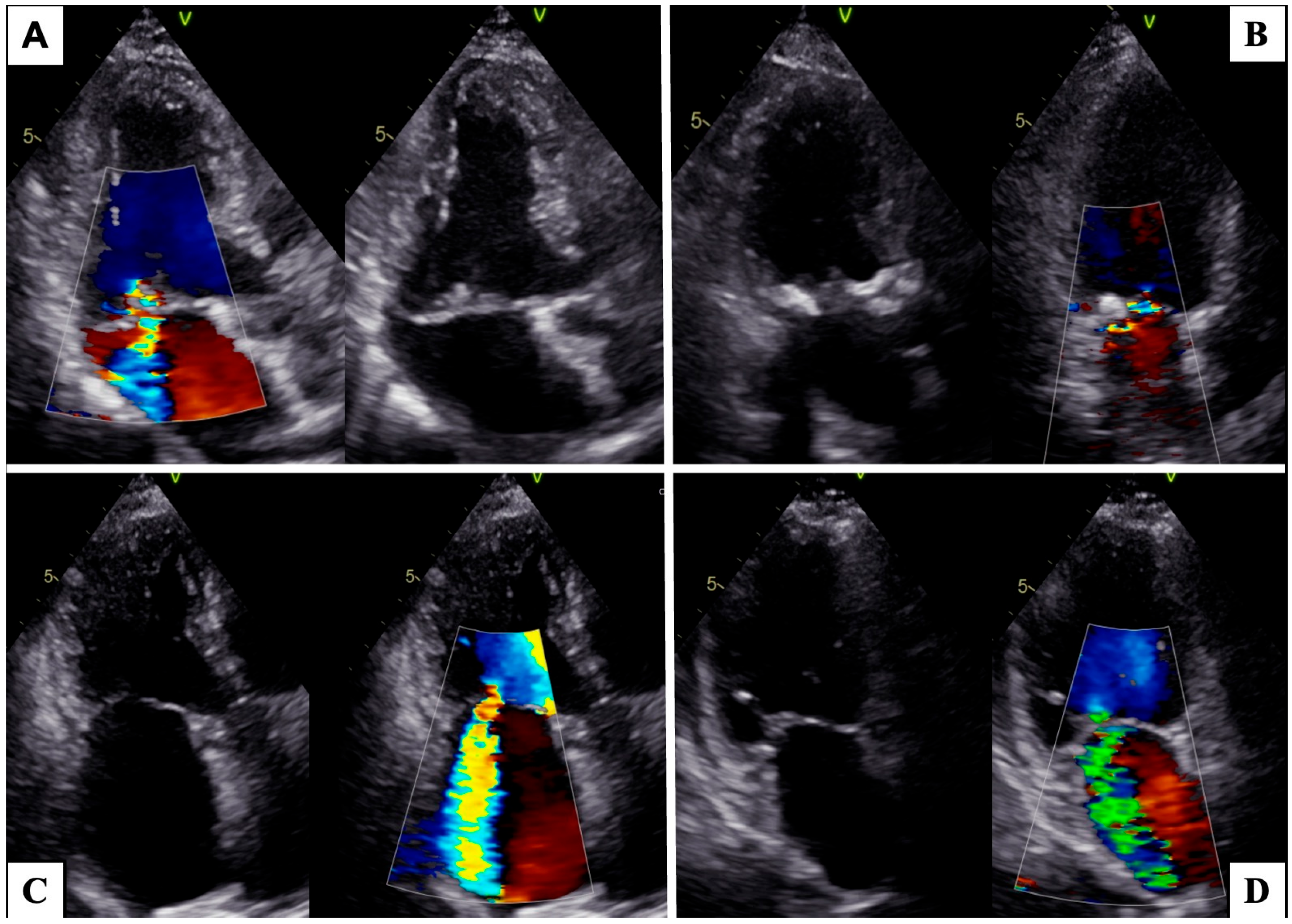 Medicina 59 01017 g001