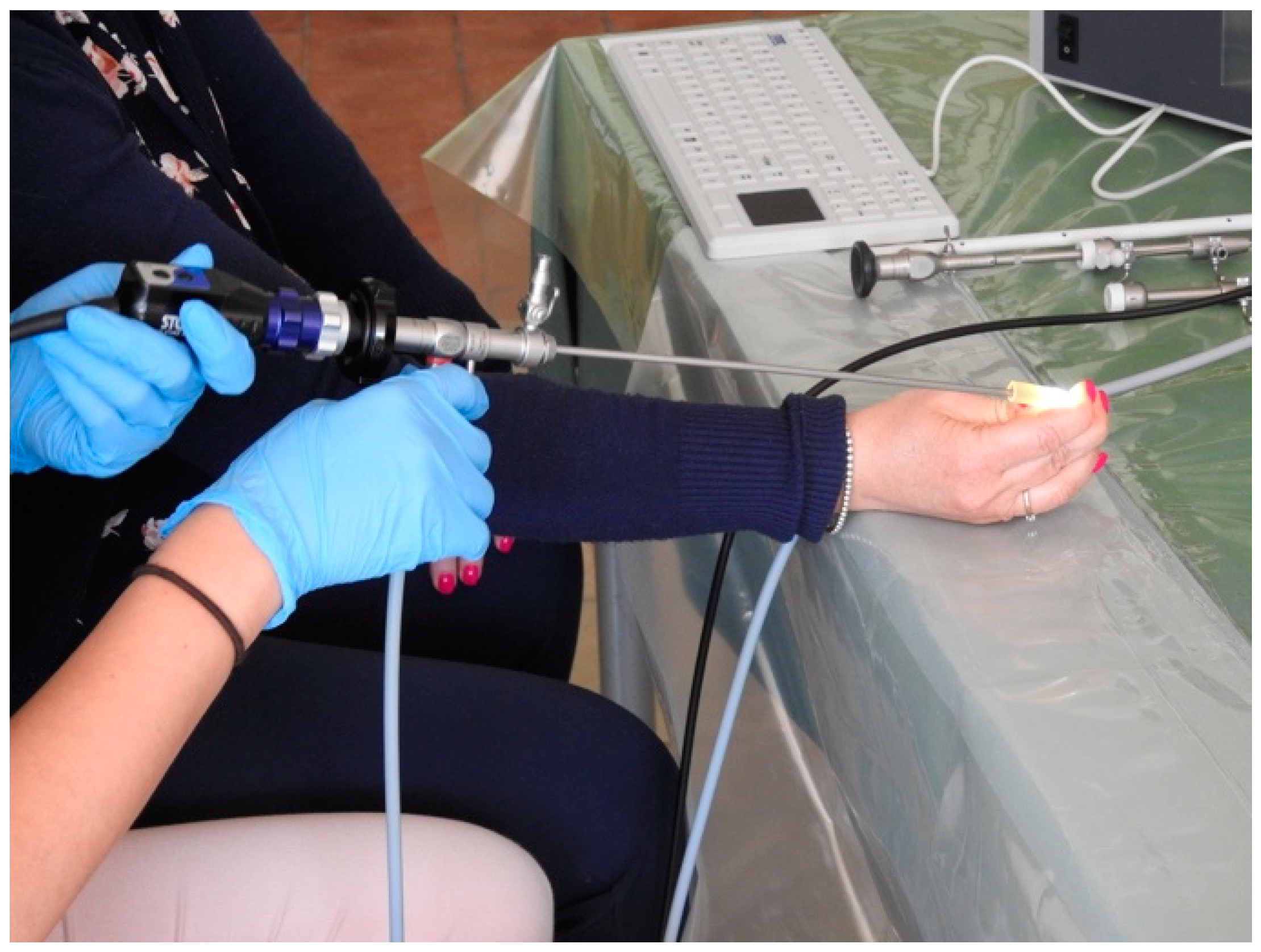 Medicina 59 01019 g001