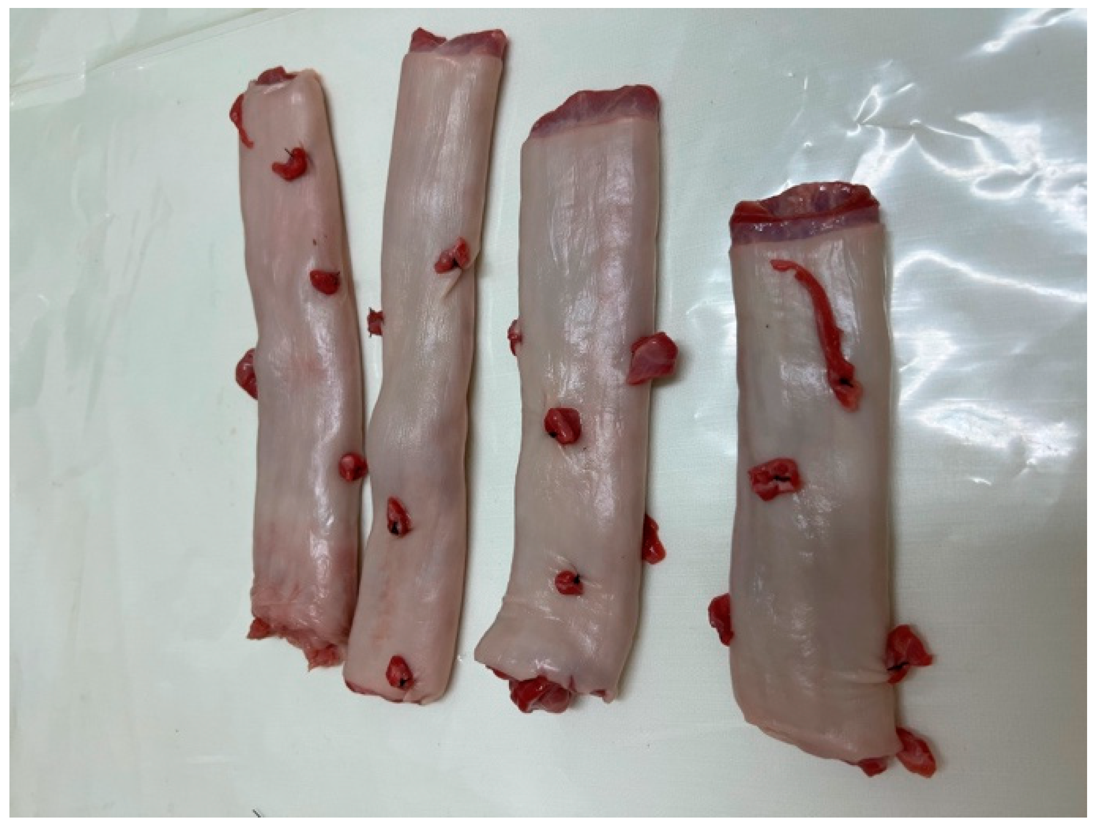 Medicina 59 01019 g004