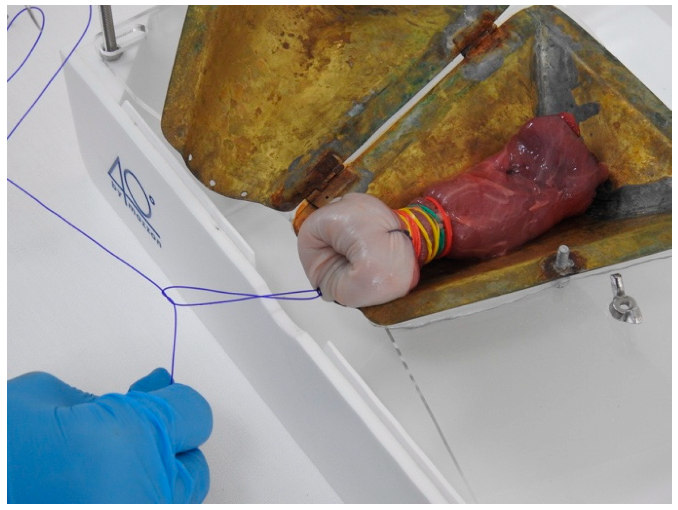 Medicina 59 01019 g005