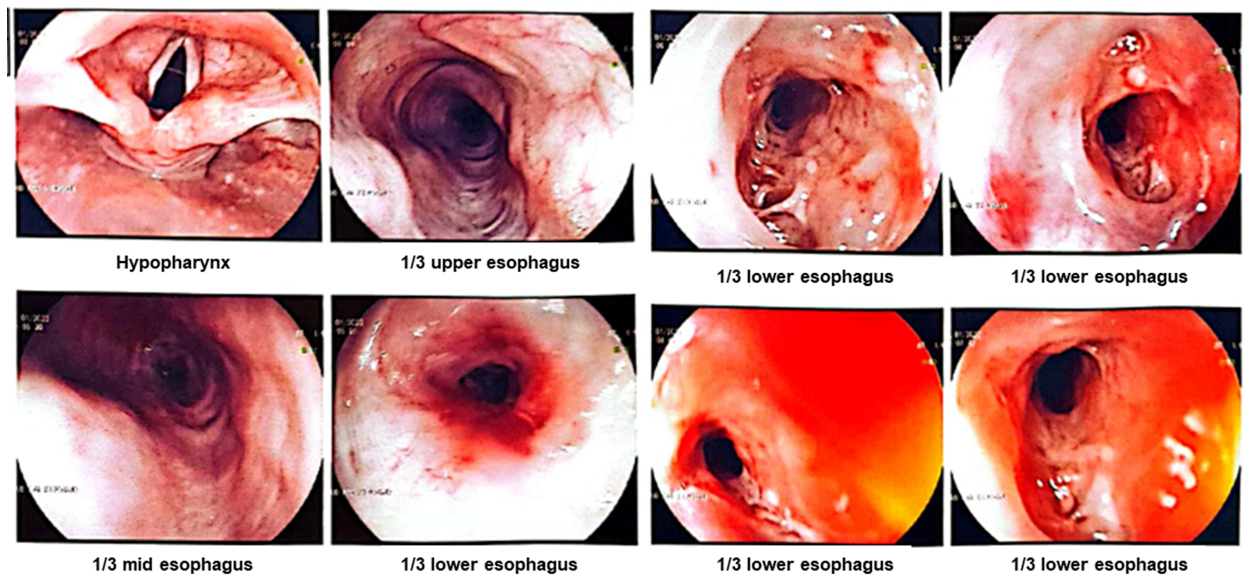 Medicina 59 01020 g001