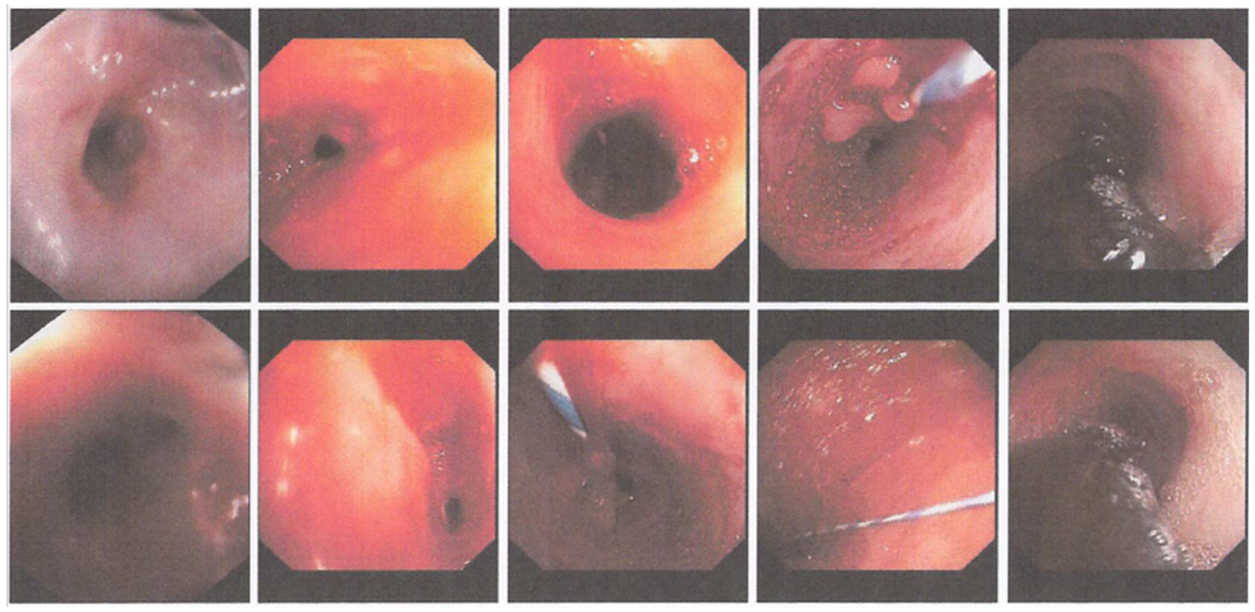 Medicina 59 01020 g002