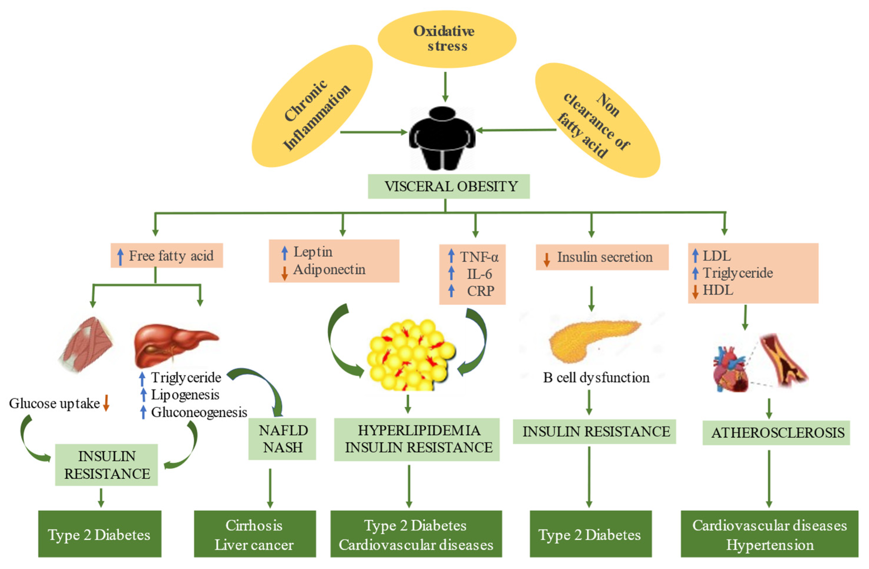 Medicina 59 01022 g001