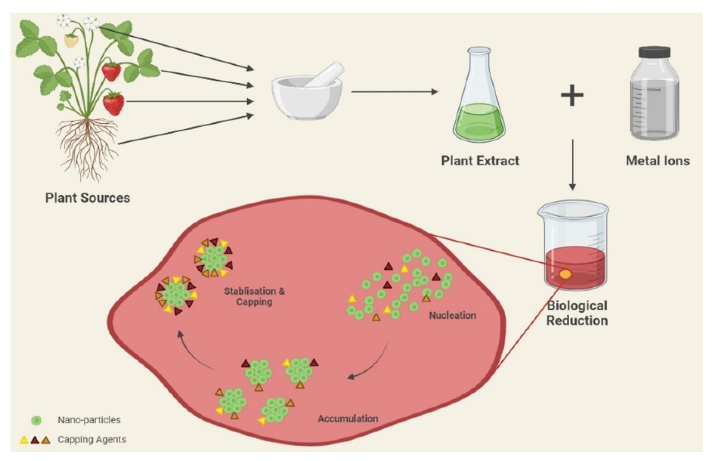 Medicina 59 01022 g002