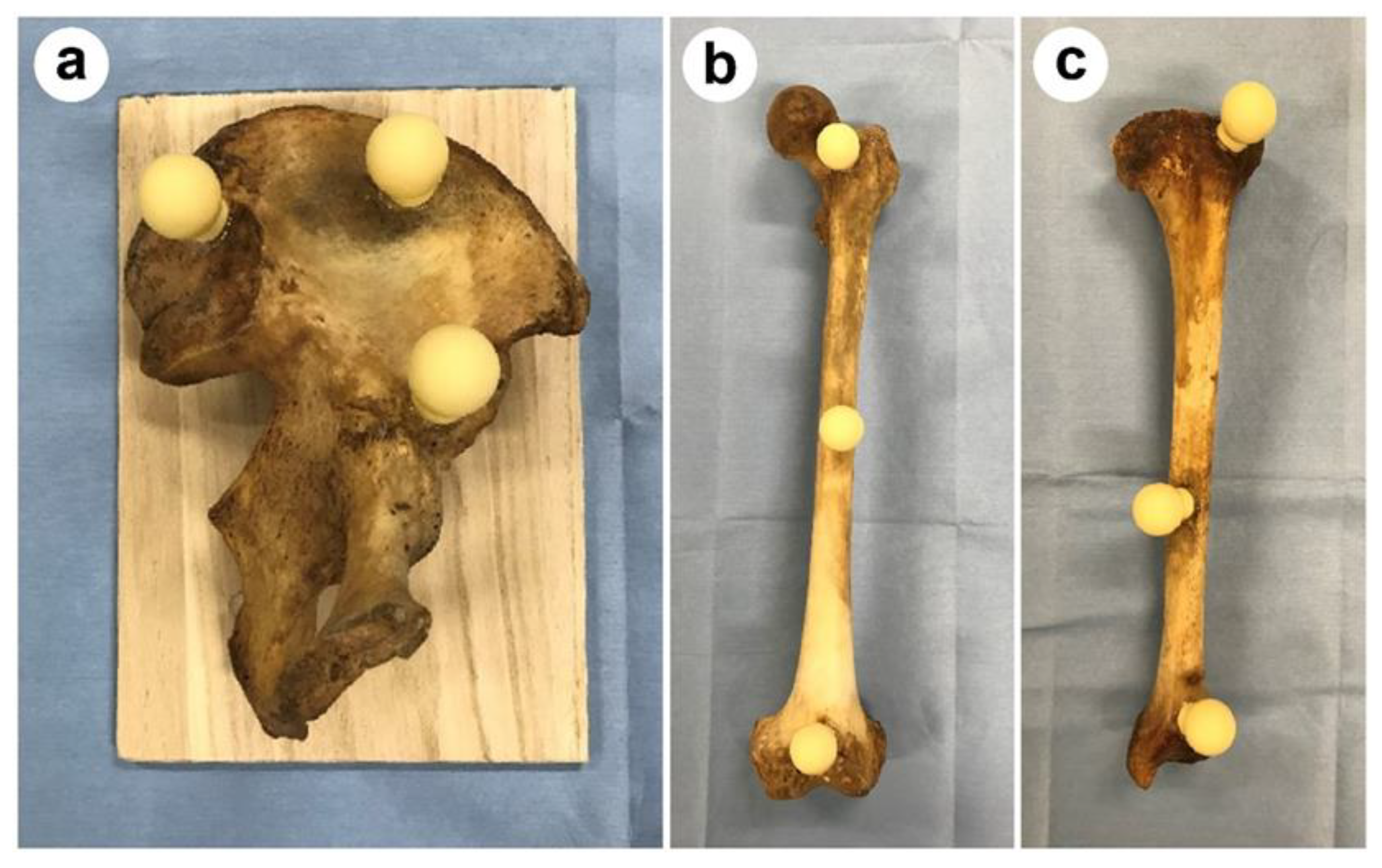 Medicina 59 01030 g001