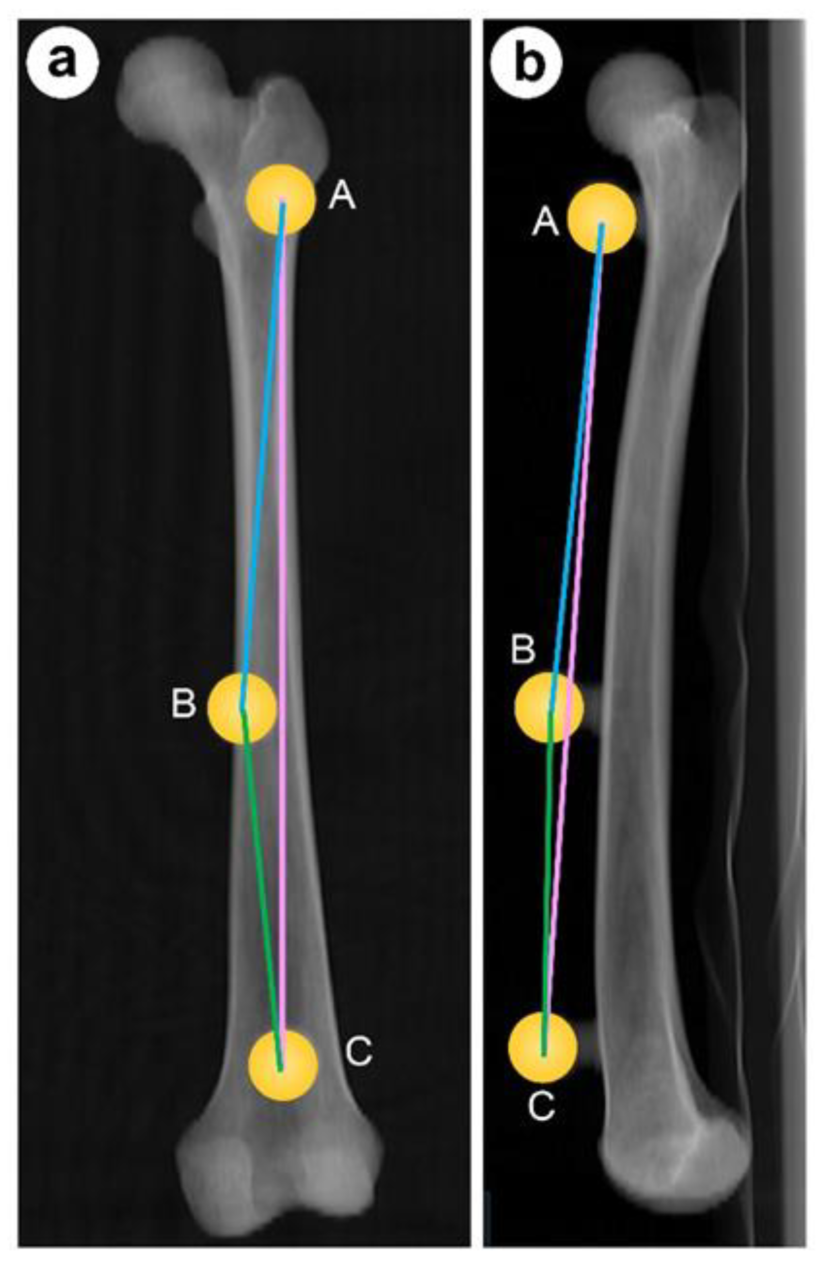 Medicina 59 01030 g003