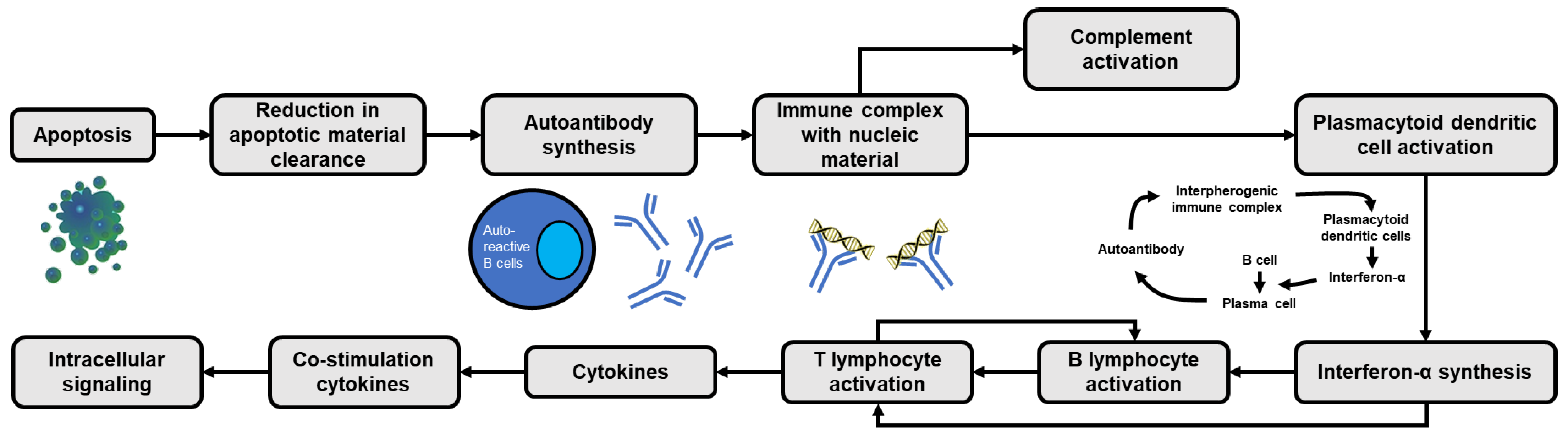 Medicina 59 01033 g001 Medicina 59 01033 g001