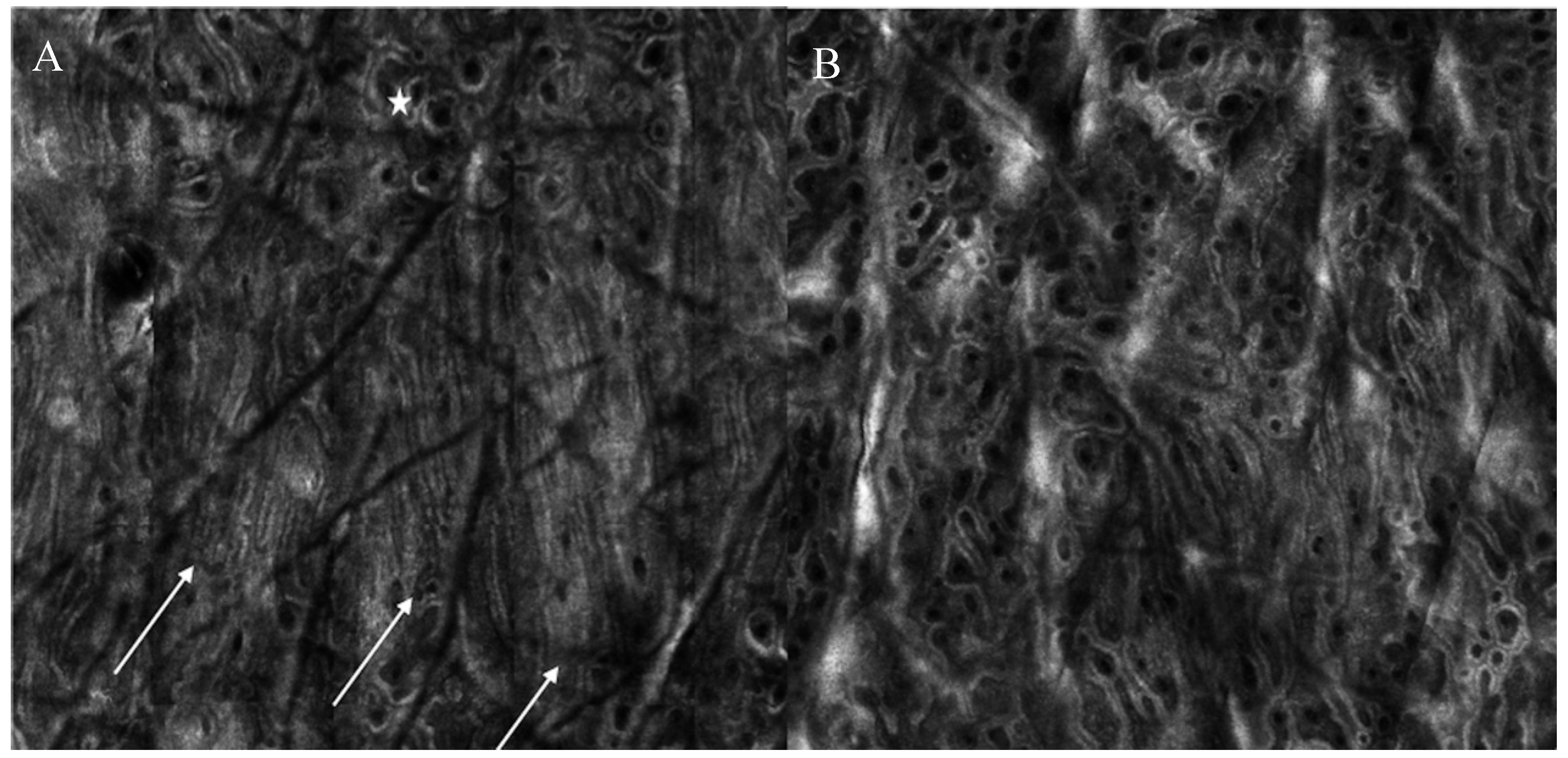 Medicina 59 01039 g002 Medicina 59 01039 g002
