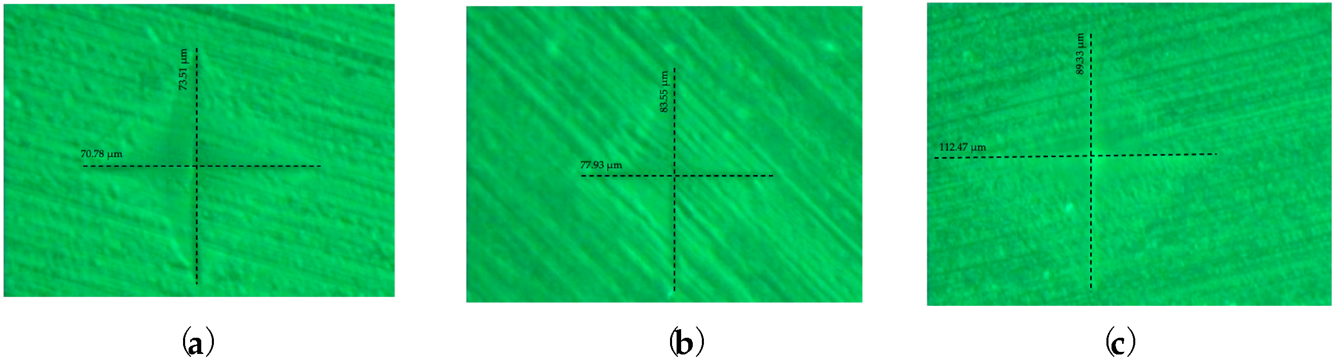Medicina 59 01042 g007