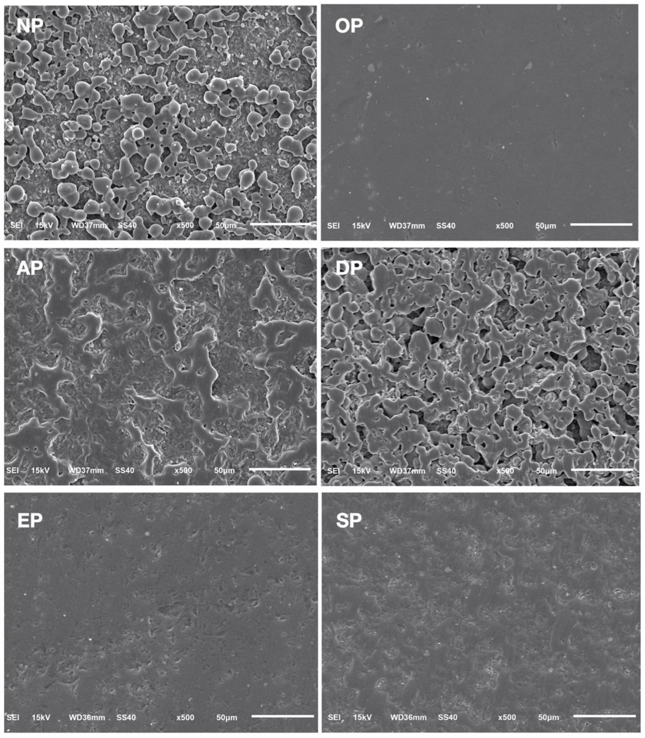 Medicina 59 01048 g003