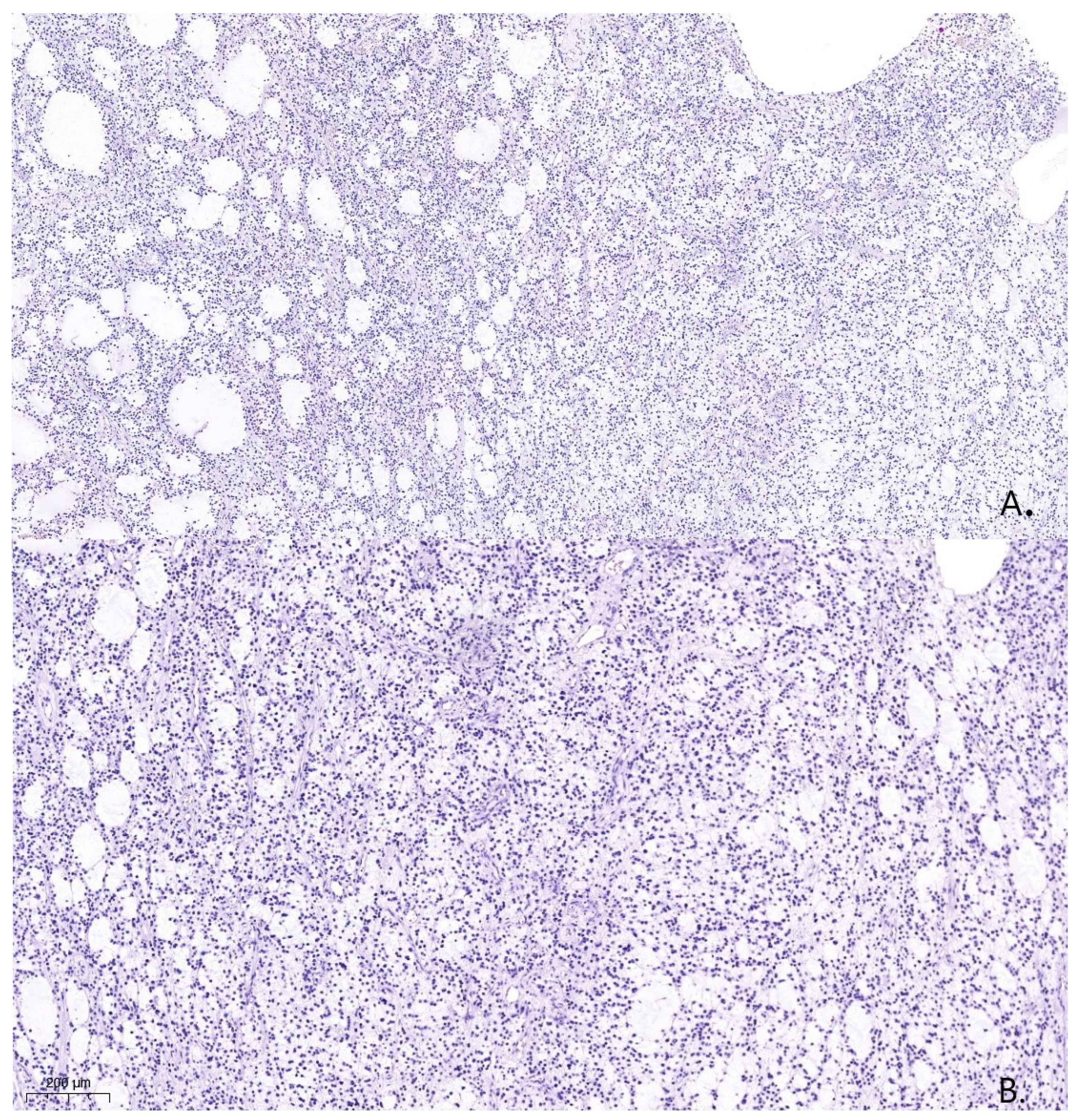 Medicina 59 01056 g004