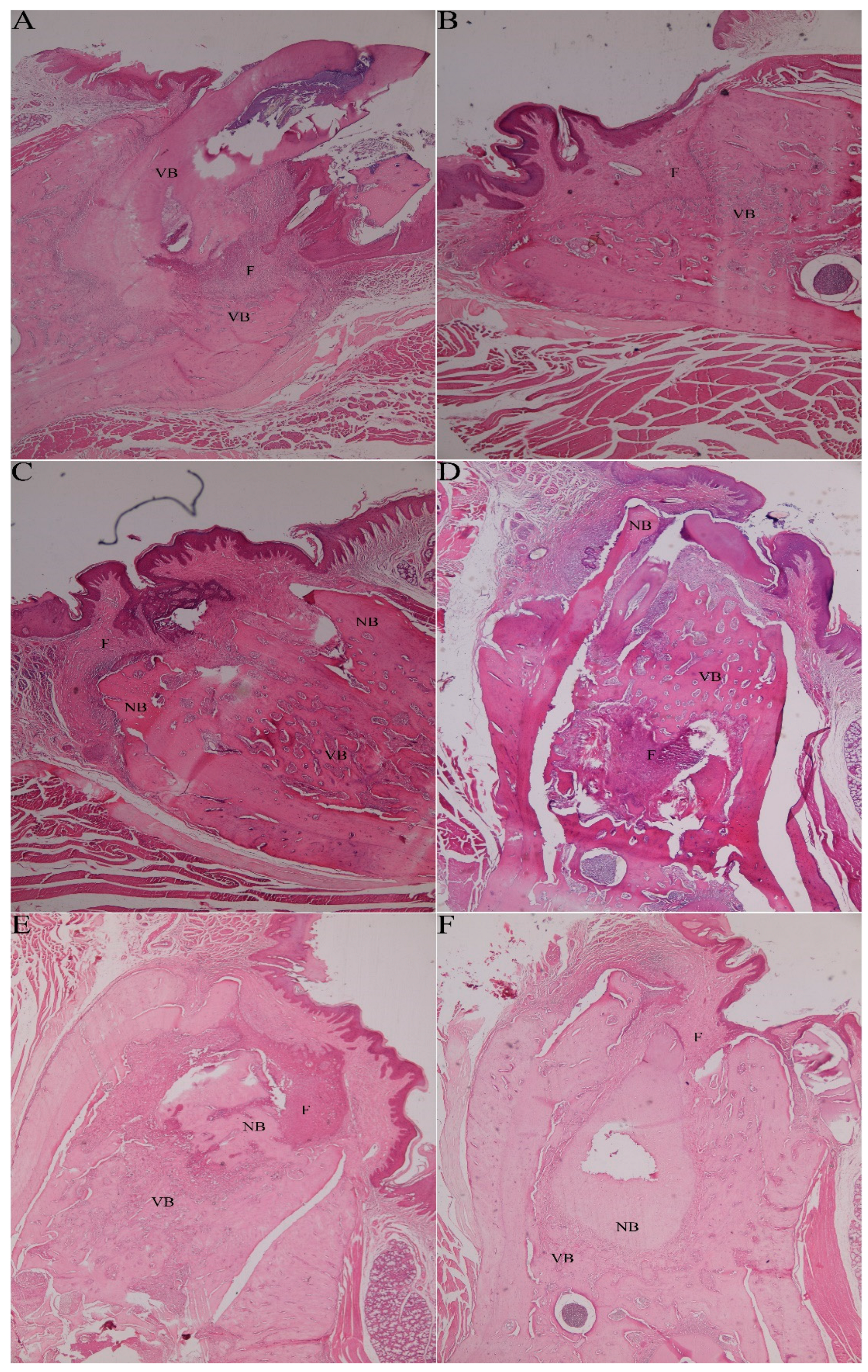 Medicina 59 01059 g001