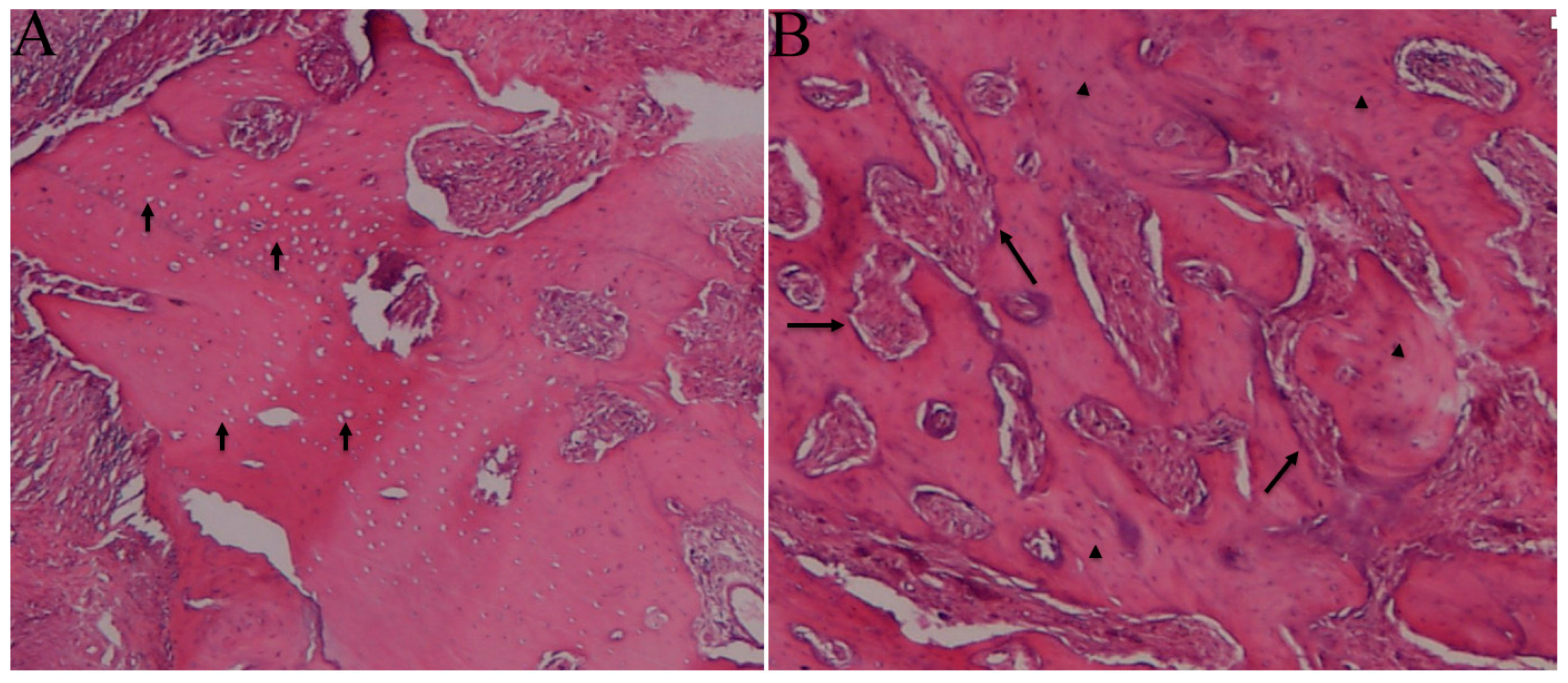 Medicina 59 01059 g002