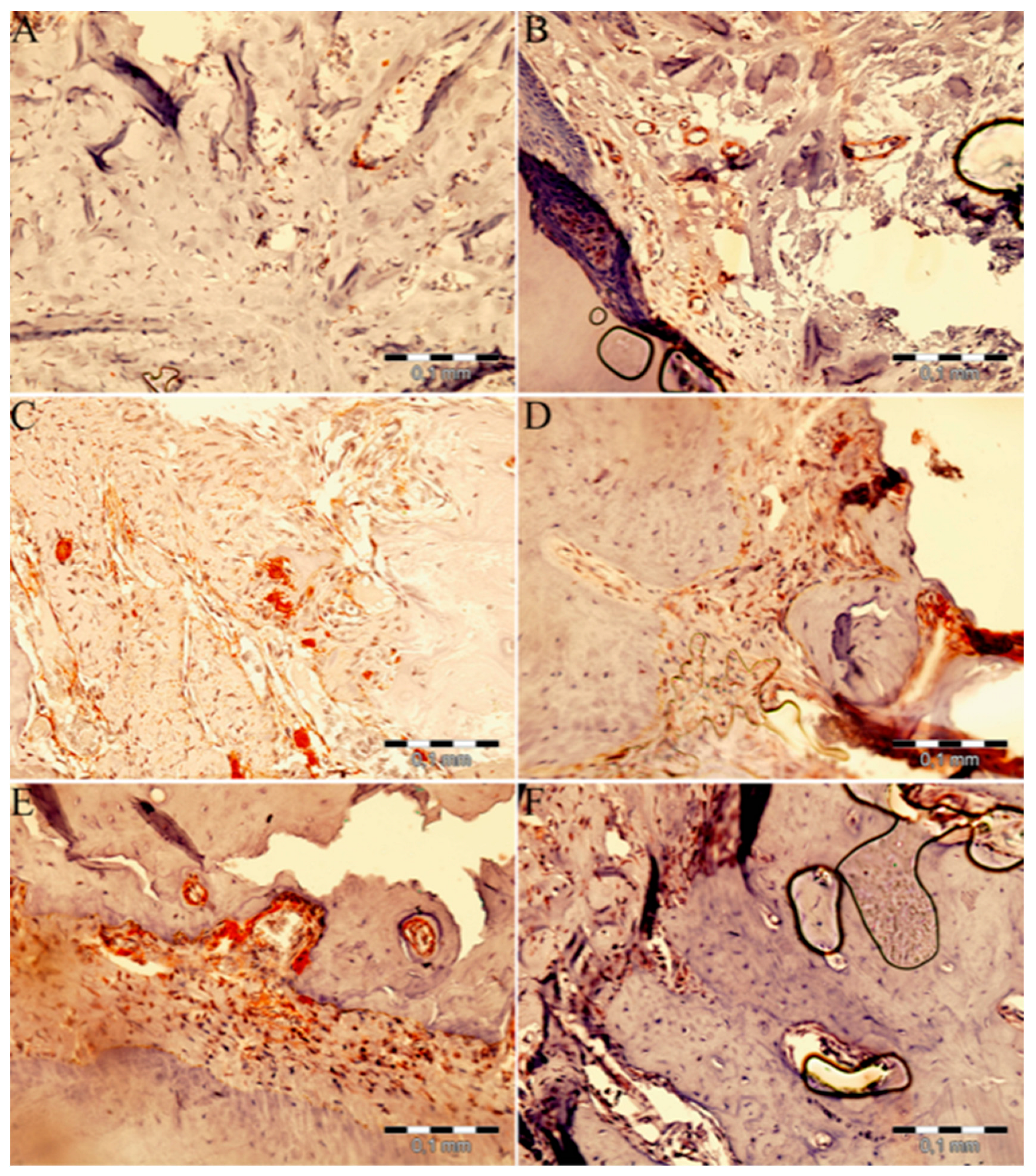 Medicina 59 01059 g003