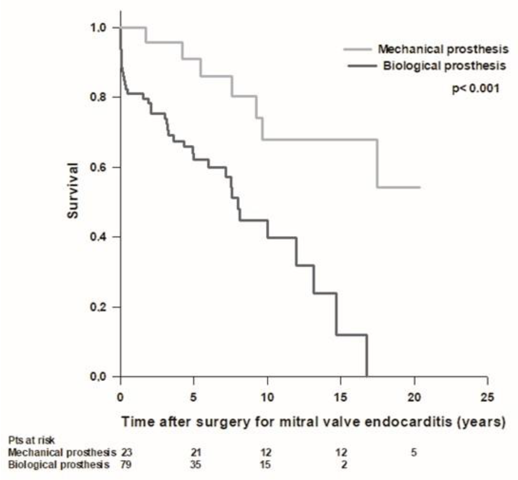Medicina 59 01060 g002