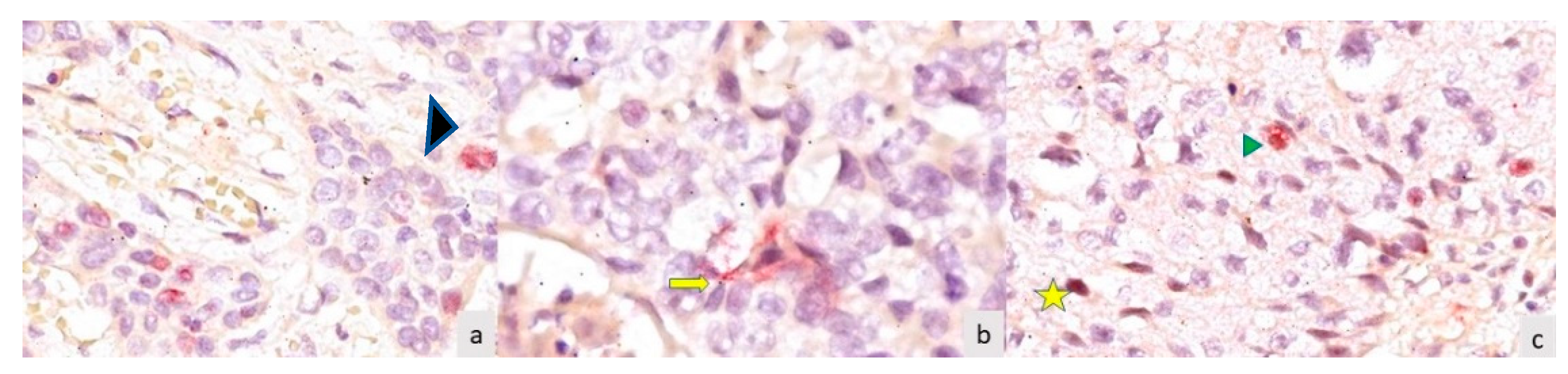 Medicina 59 01072 g001