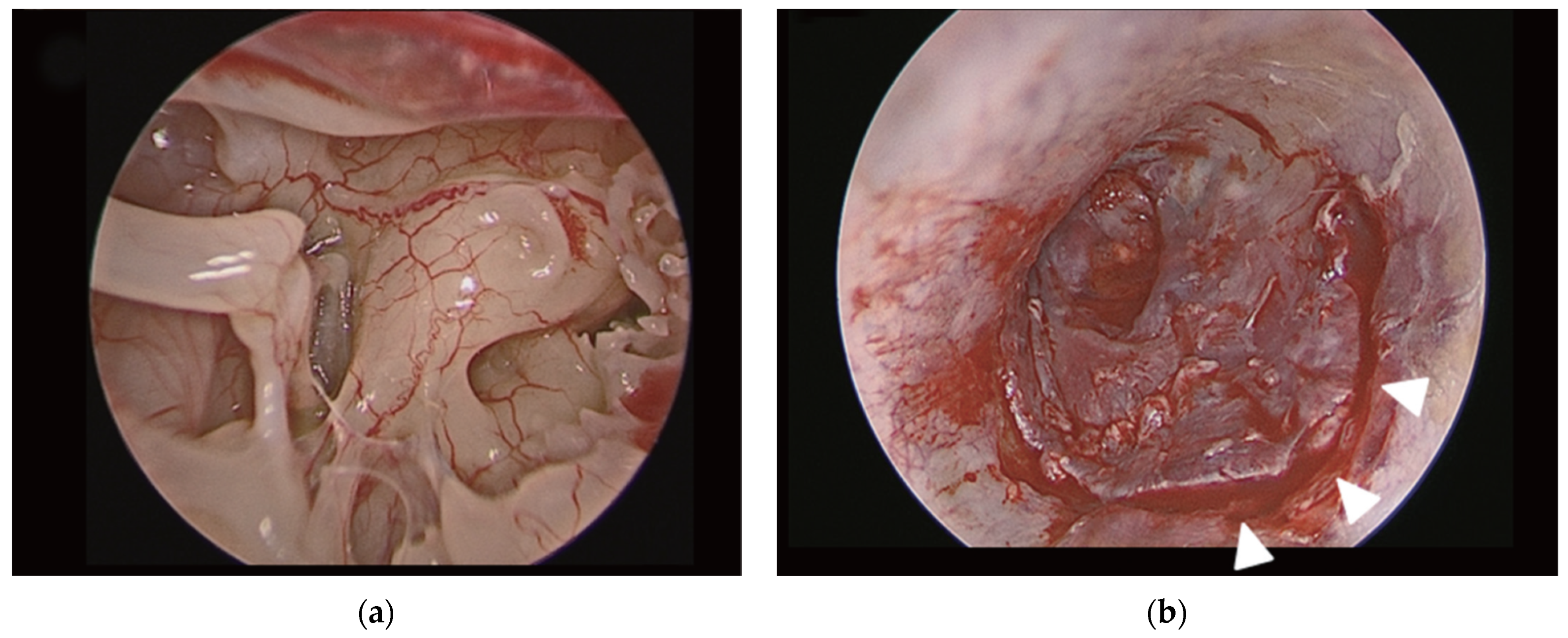 Medicina 59 01074 g002