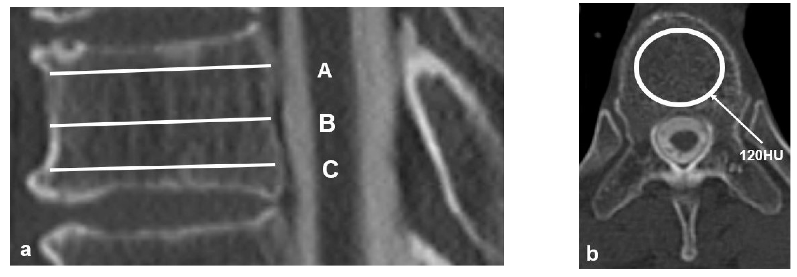 Medicina 59 01086 g001