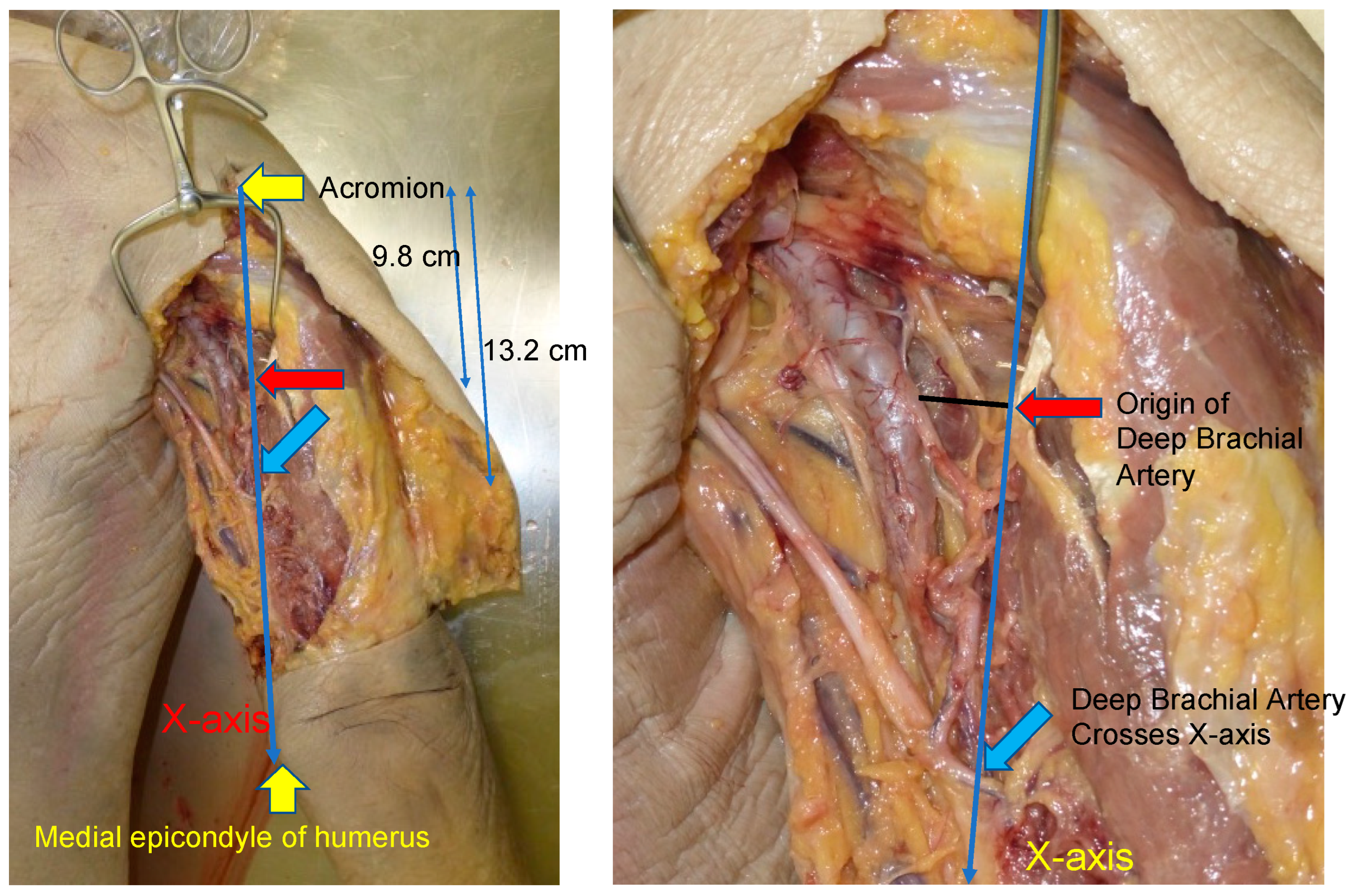 Medicina 59 01087 g002