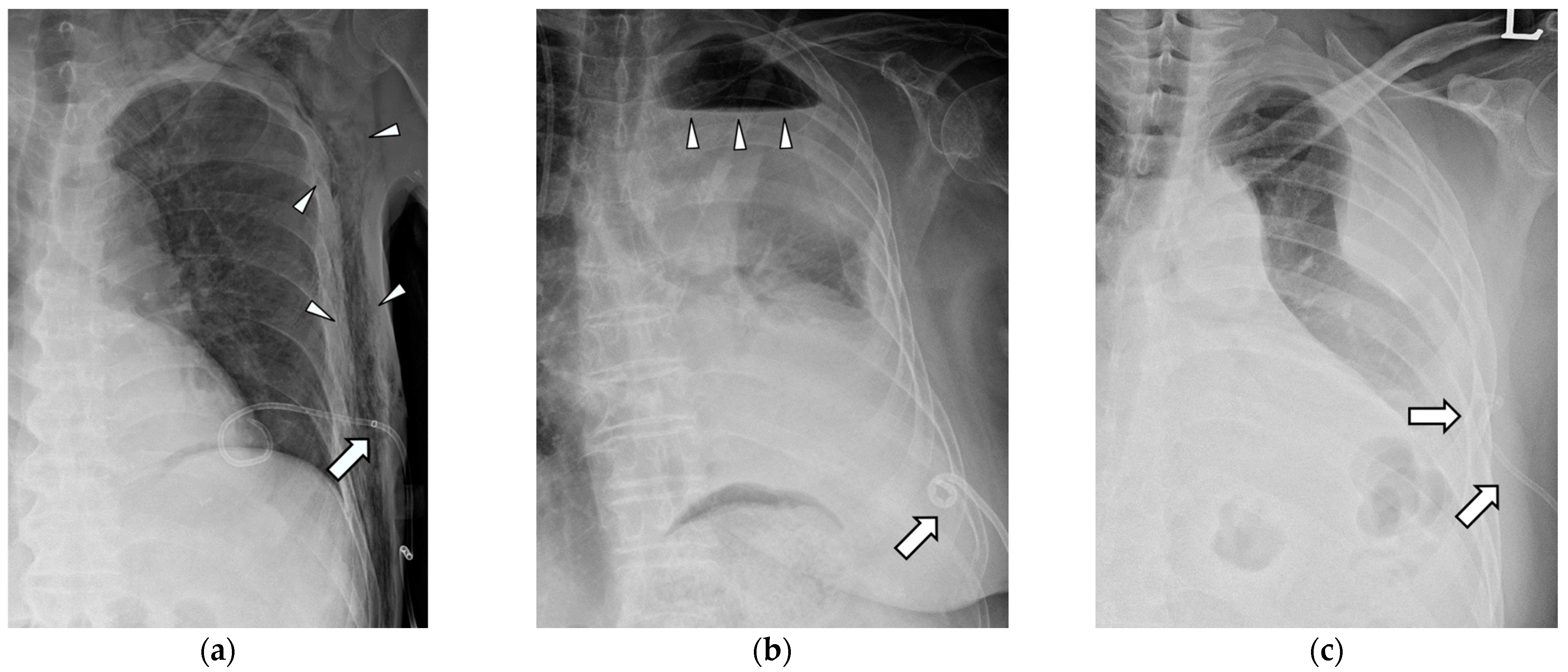 Medicina 59 01089 g002