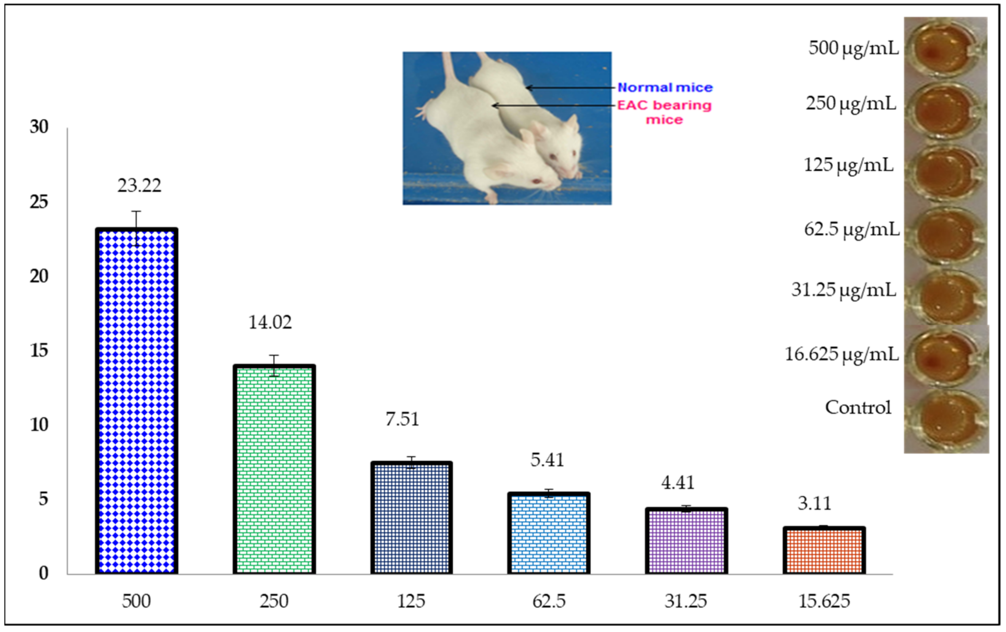 Medicina 59 01107 g005 Medicina 59 01107 g005