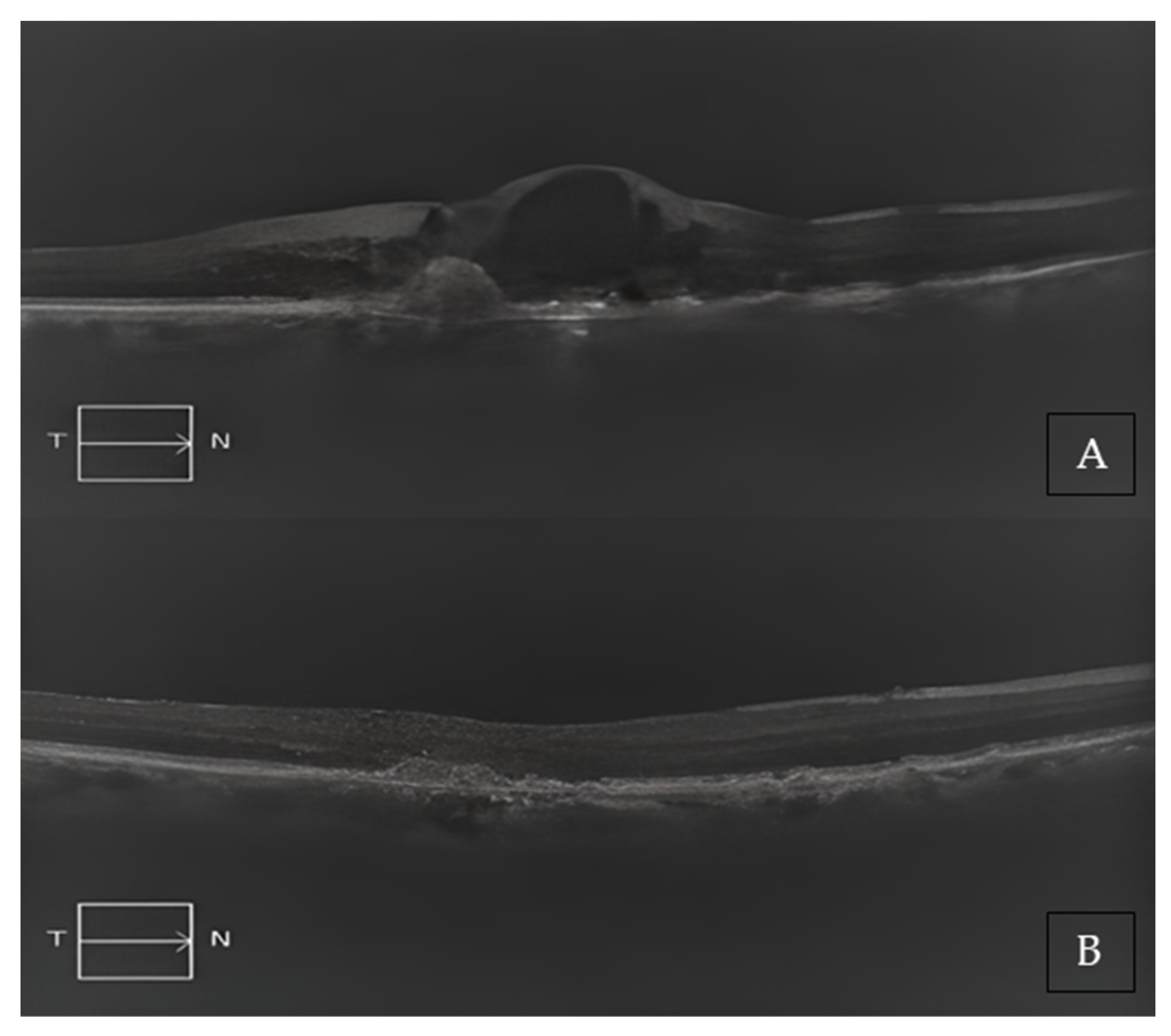 Medicina 59 01110 g002 550