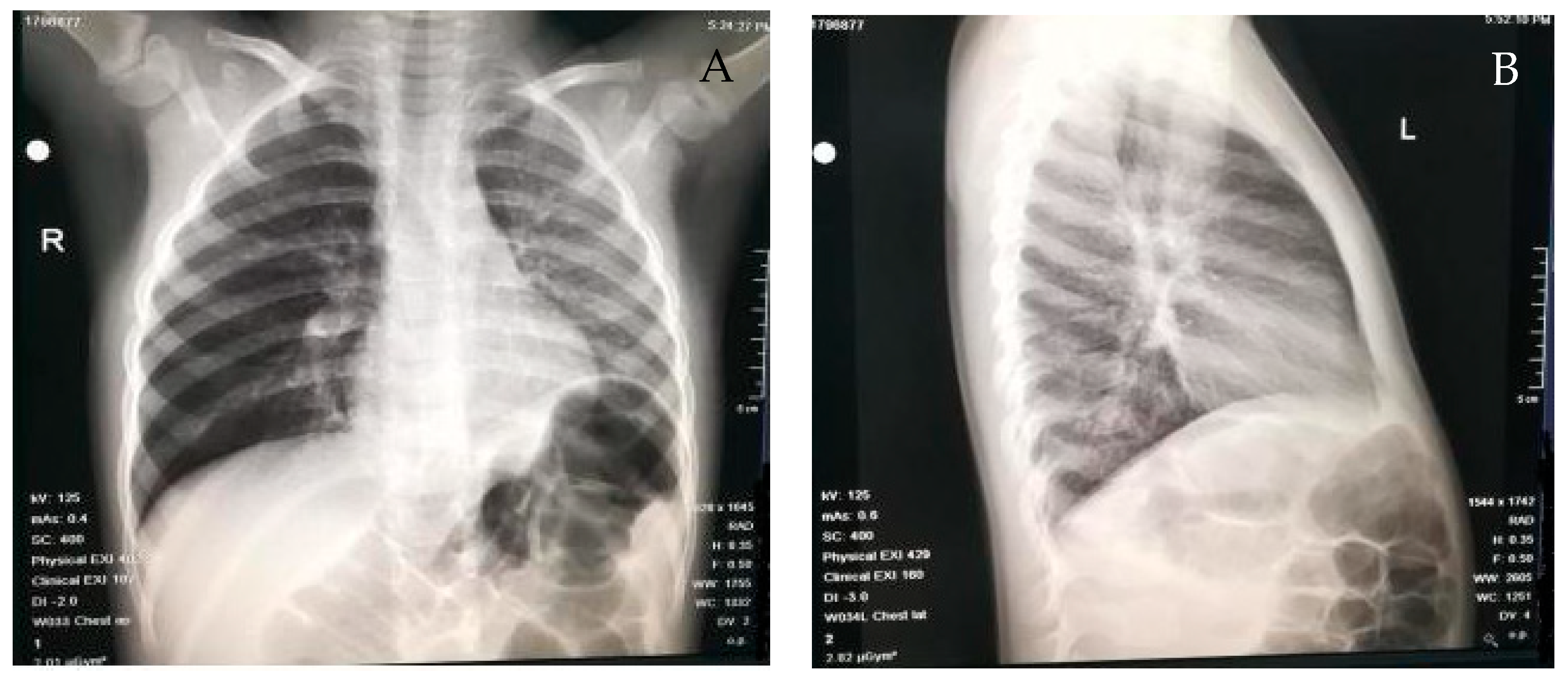 Medicina 59 01113 g002