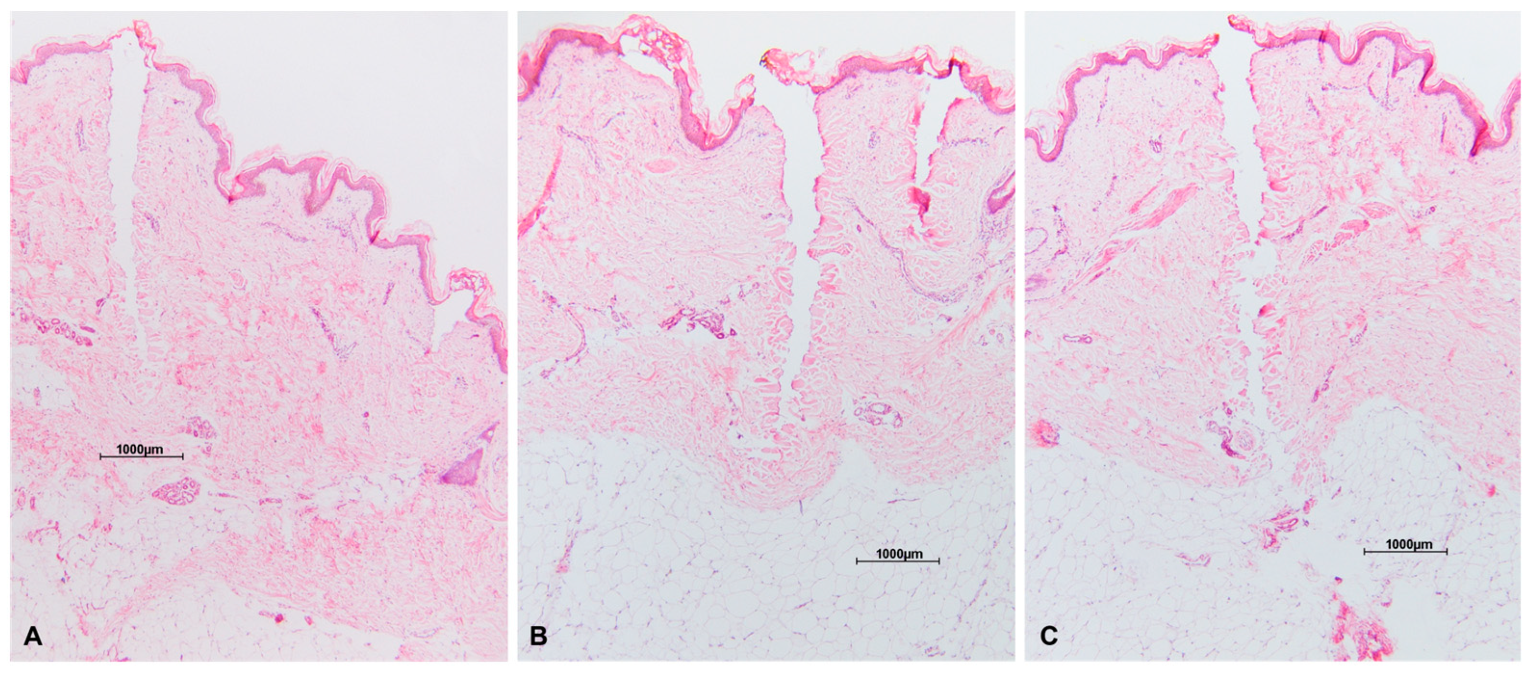 Medicina 59 01117 g001