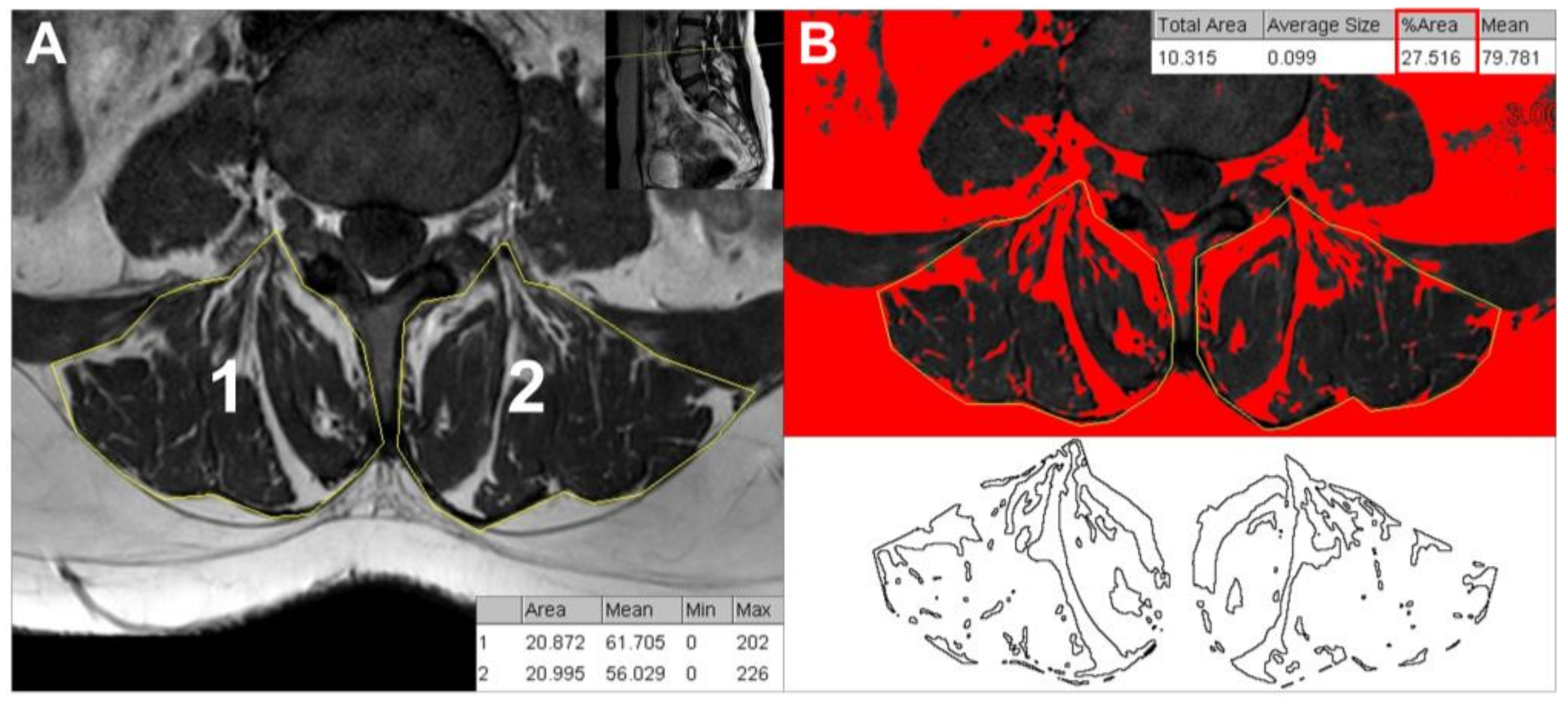 Medicina 59 01118 g002 Medicina 59 01118 g002