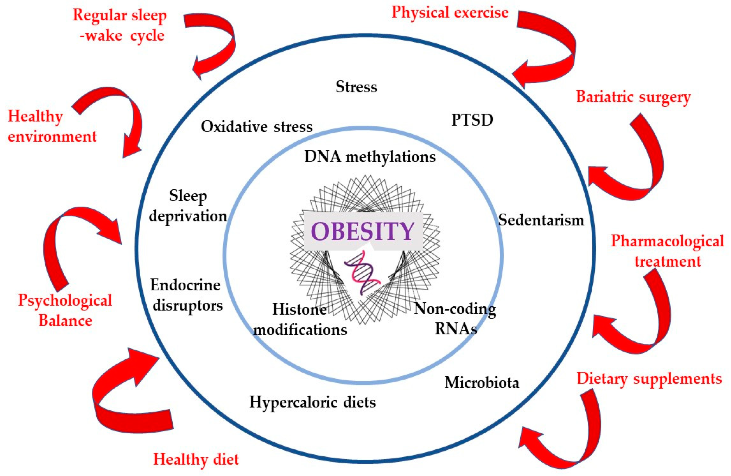 What's The Best Scale For Body Fat Recommended By An Expert - Glory Cycles