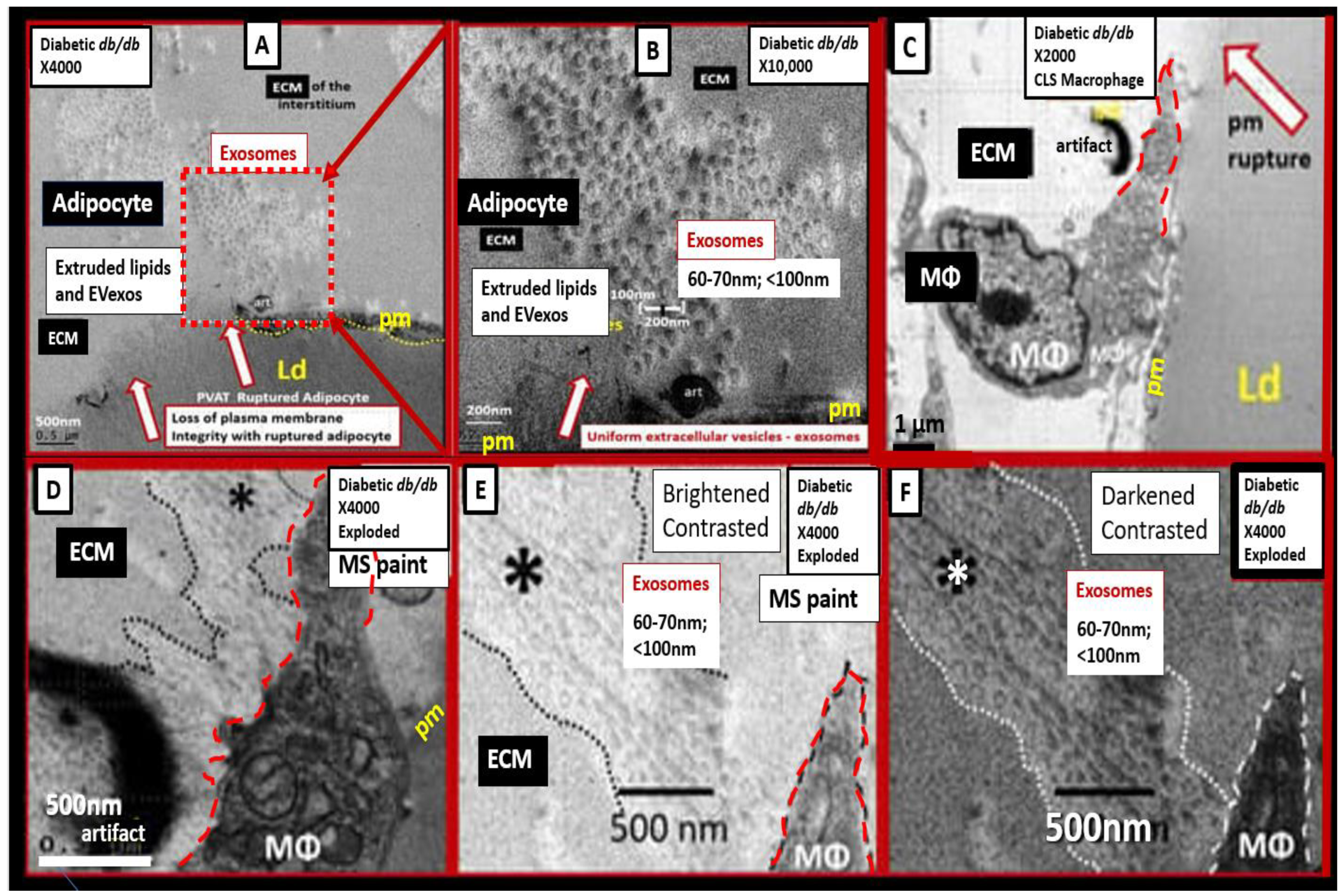 Medicina 59 01124 g004 Medicina 59 01124 g004
