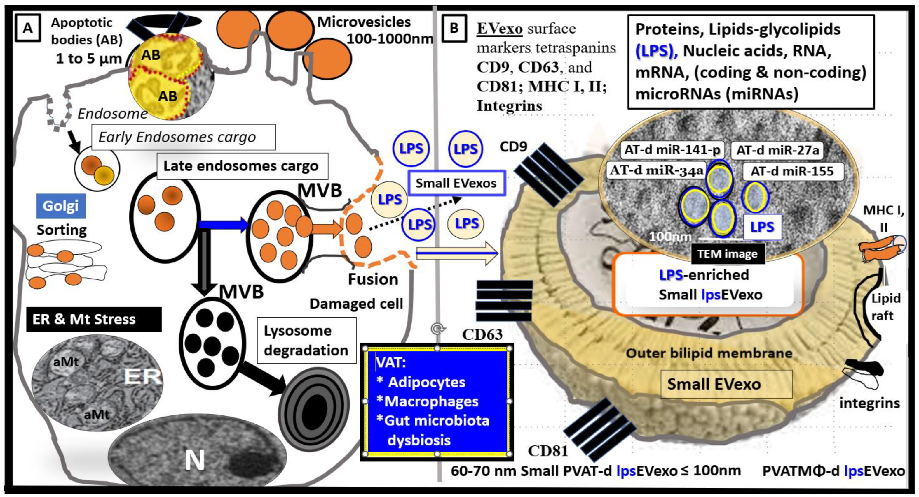 Medicina 59 01124 g005 Medicina 59 01124 g005
