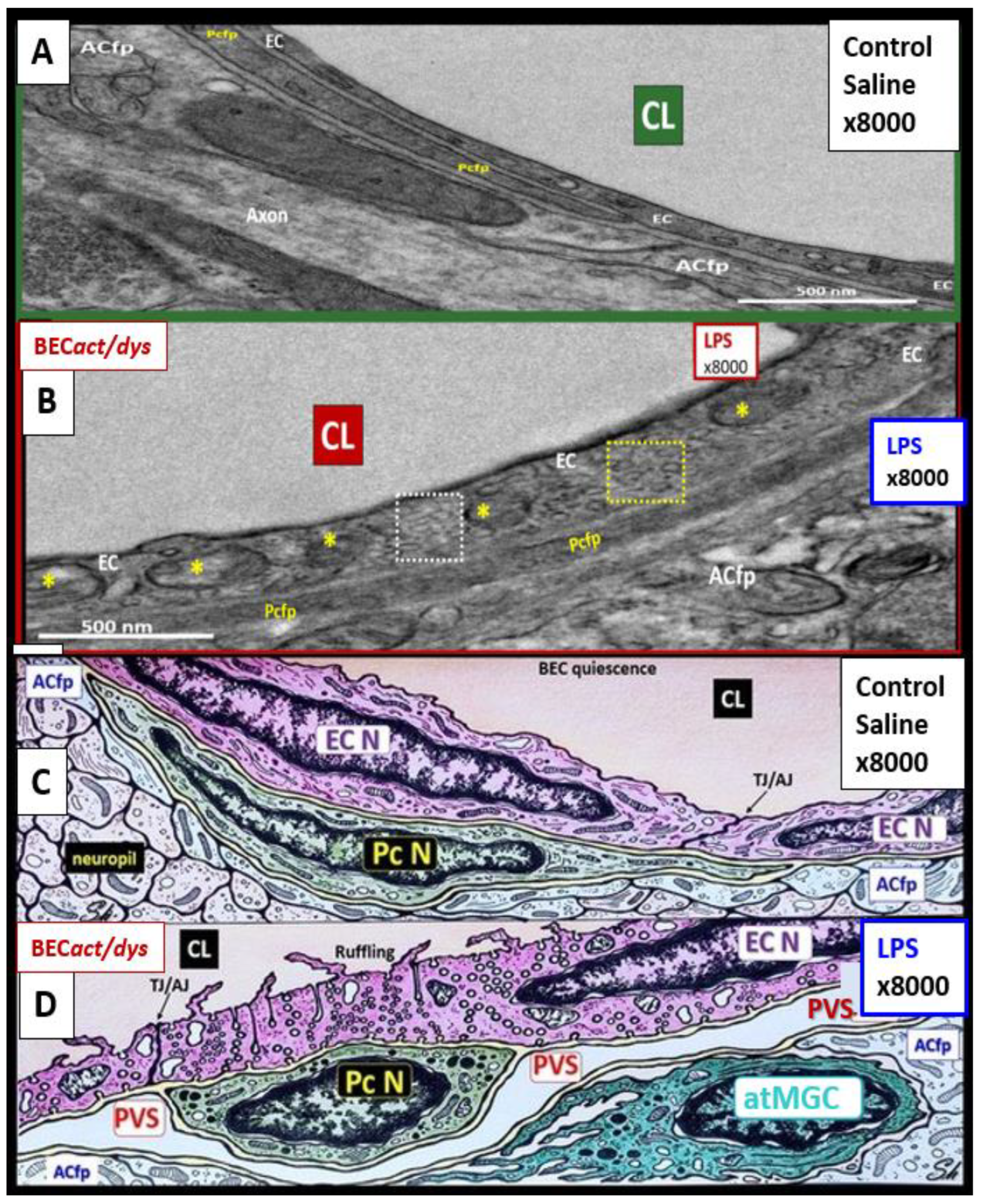 Medicina 59 01124 g007 Medicina 59 01124 g007
