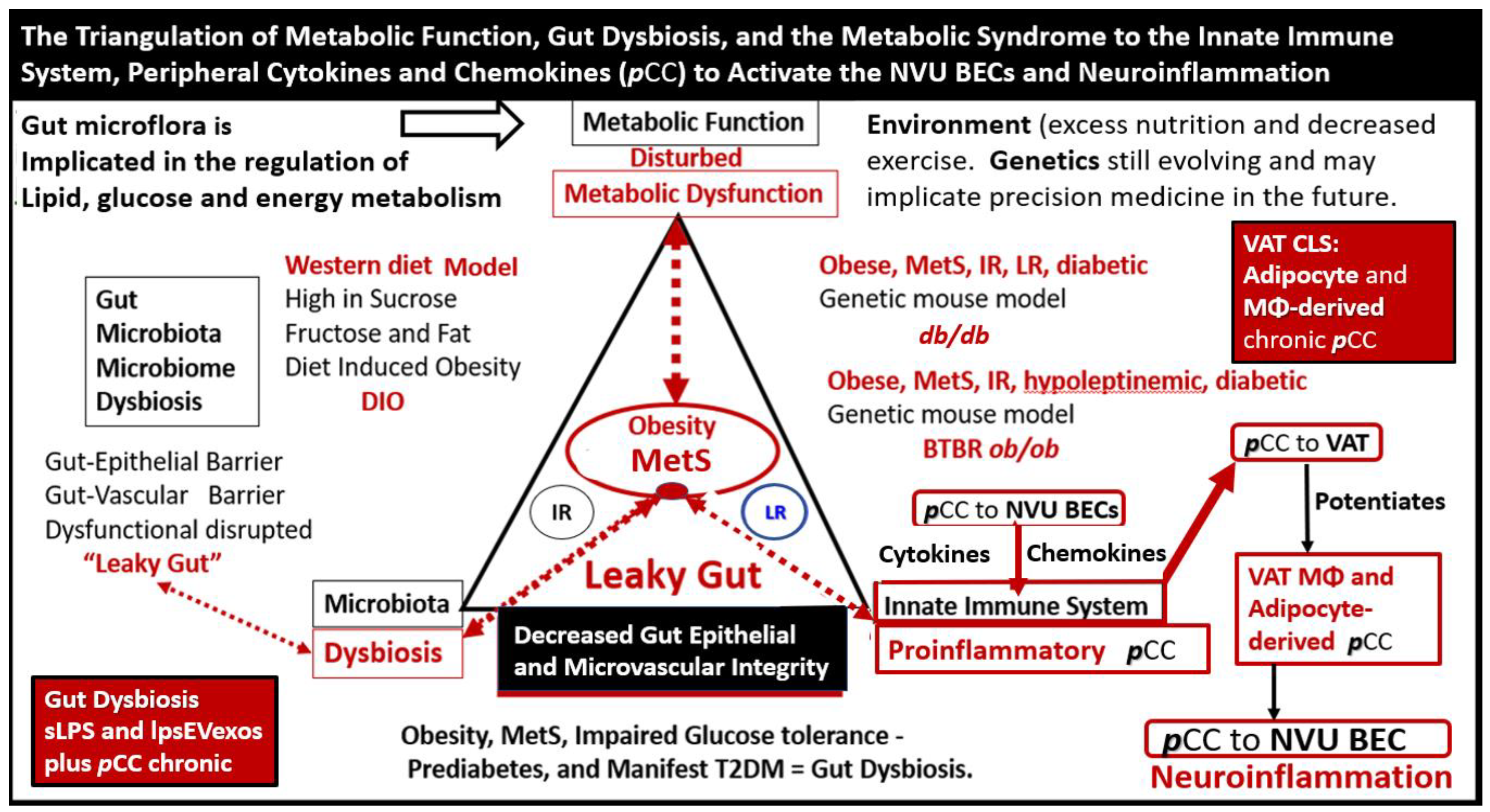Medicina 59 01124 g008 Medicina 59 01124 g008