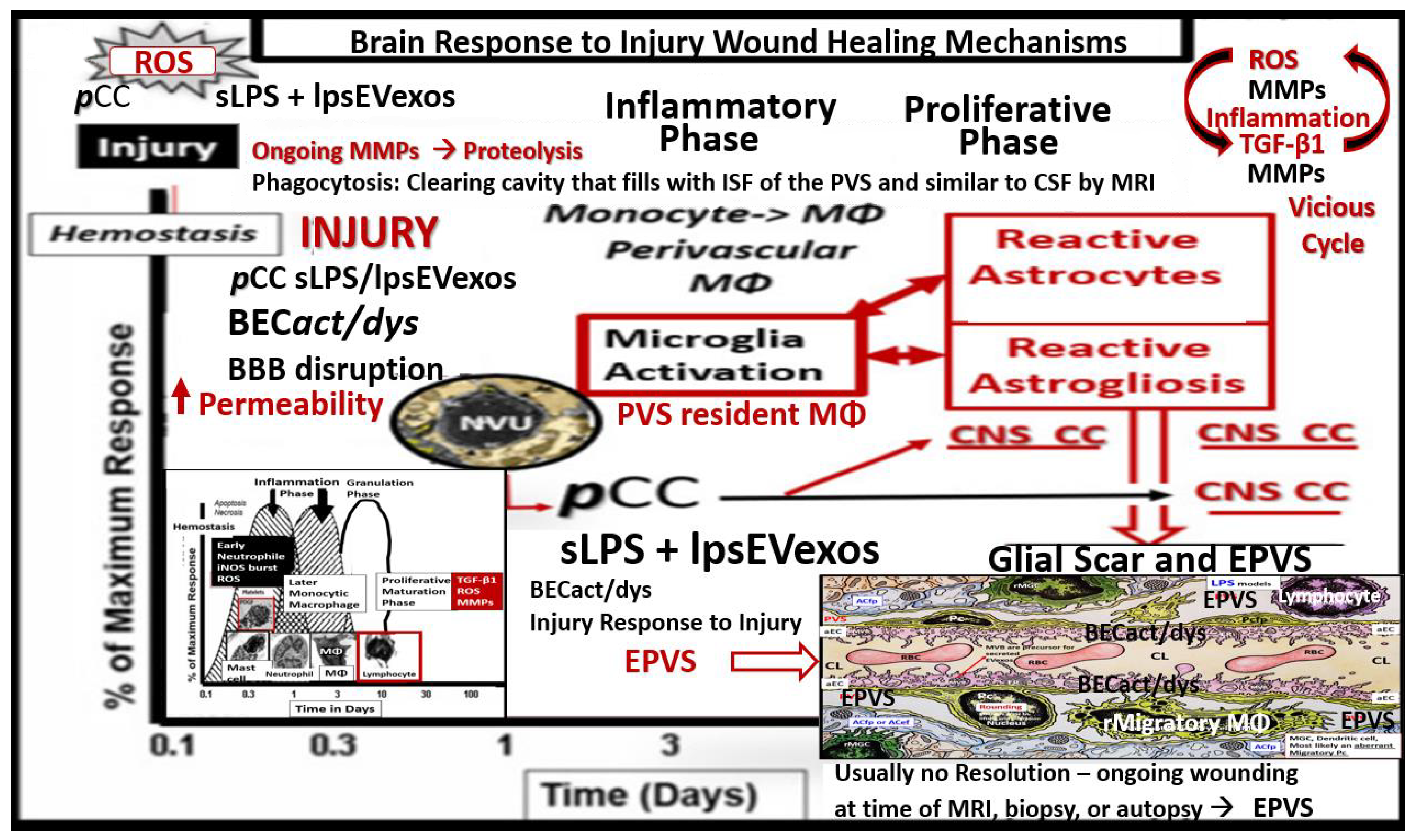 Medicina 59 01124 g009 Medicina 59 01124 g009