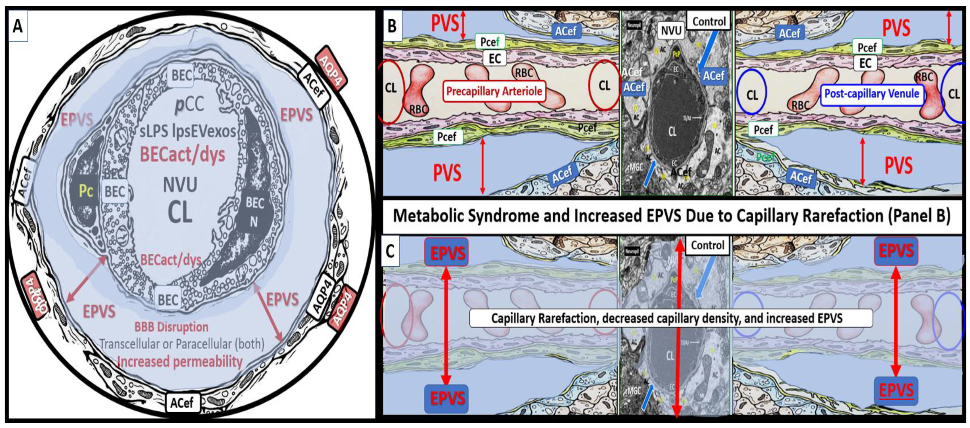 Medicina 59 01124 g010 Medicina 59 01124 g010
